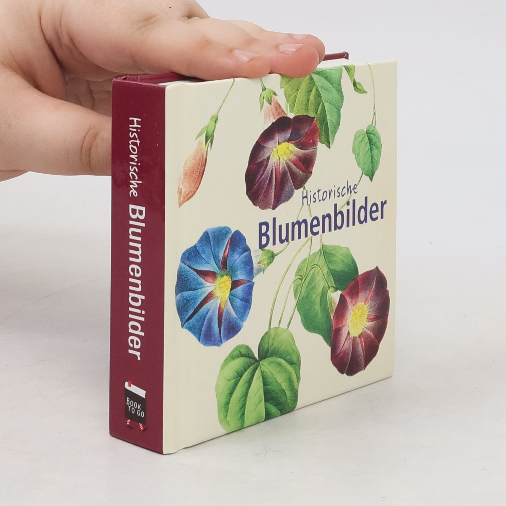 Pierre-Joseph Redouté Historische Blumenbilder