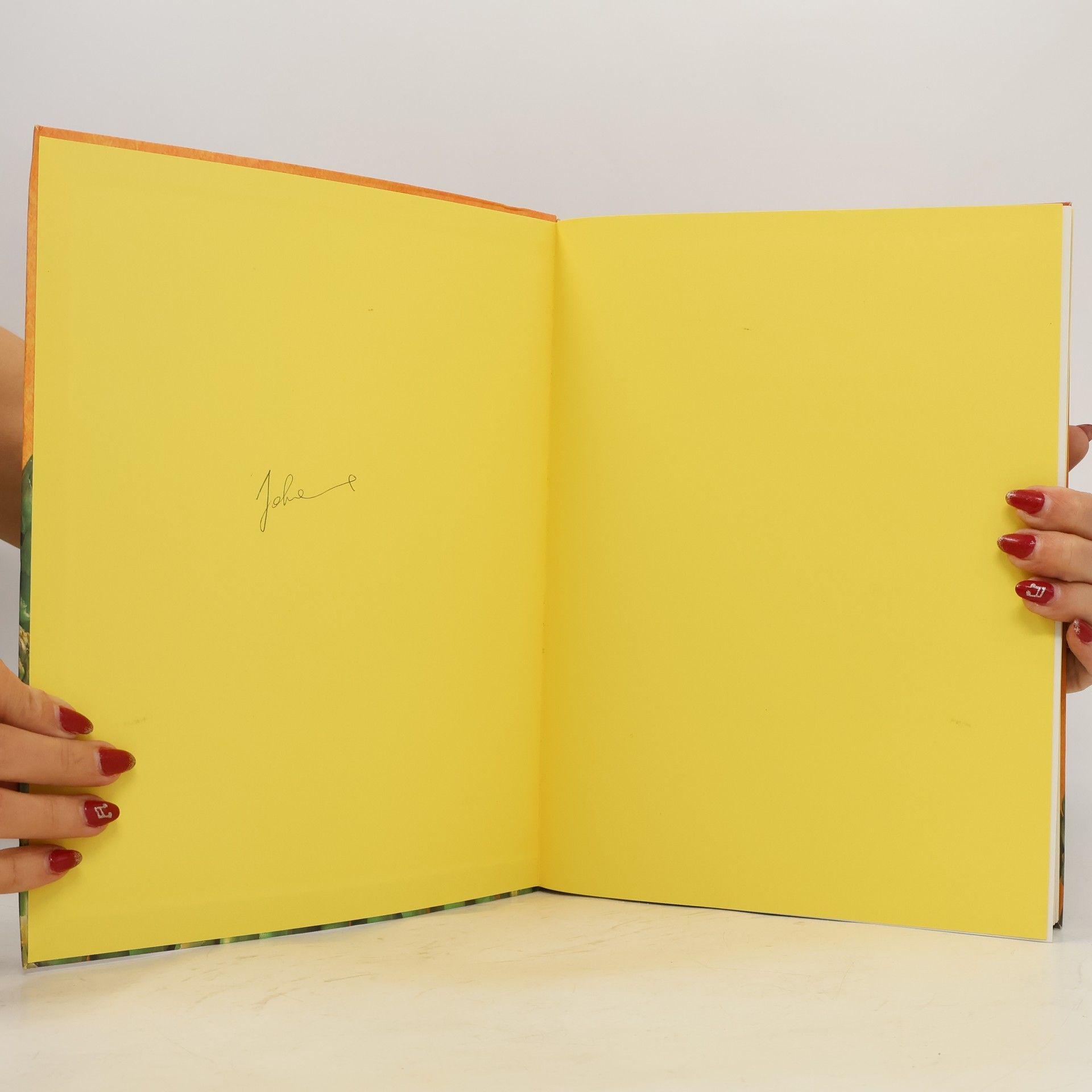 Autorenkollektiv Das große Buch der Vegetarischen Küche