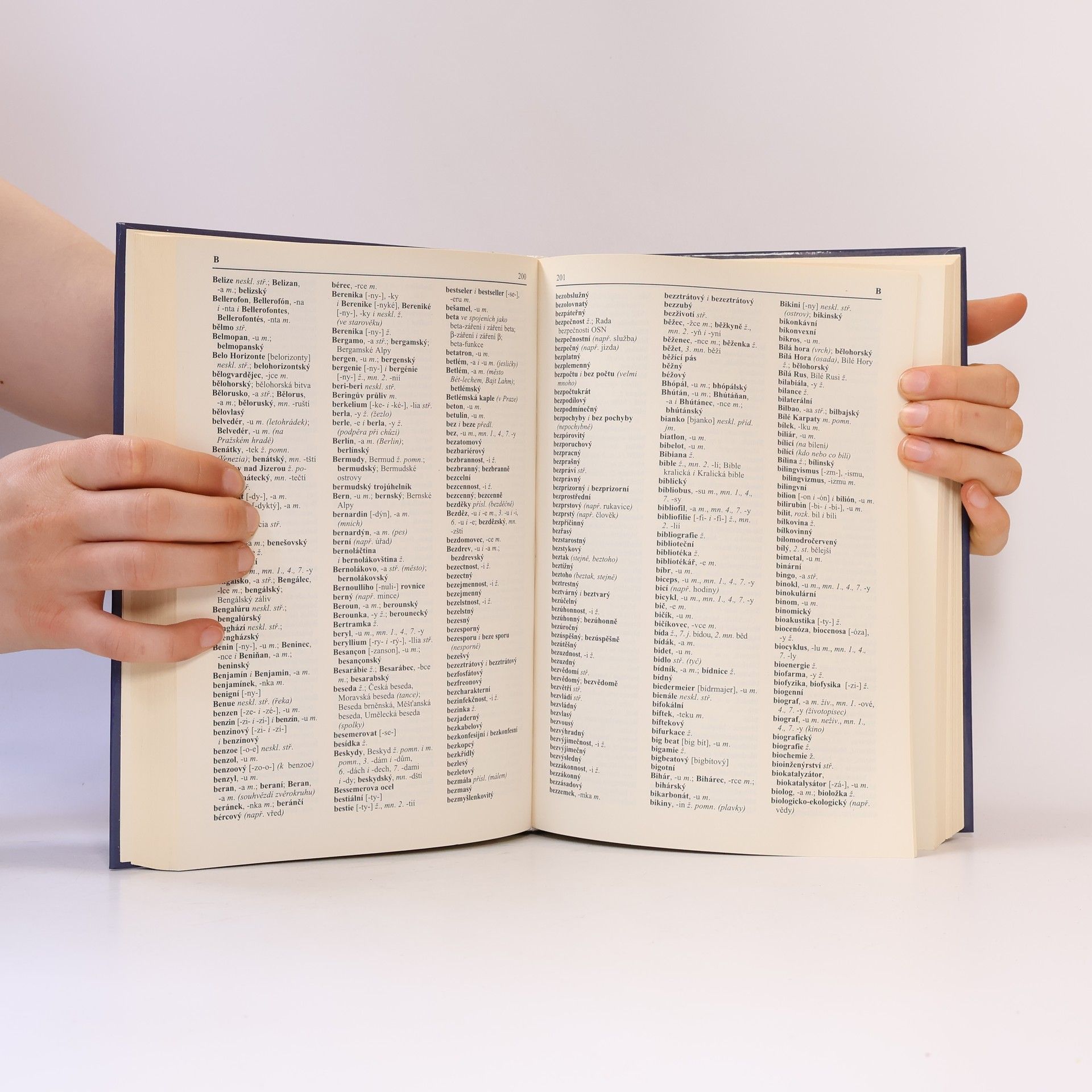 Various authors Pravidla českého pravopisu s výkladem mluvnice