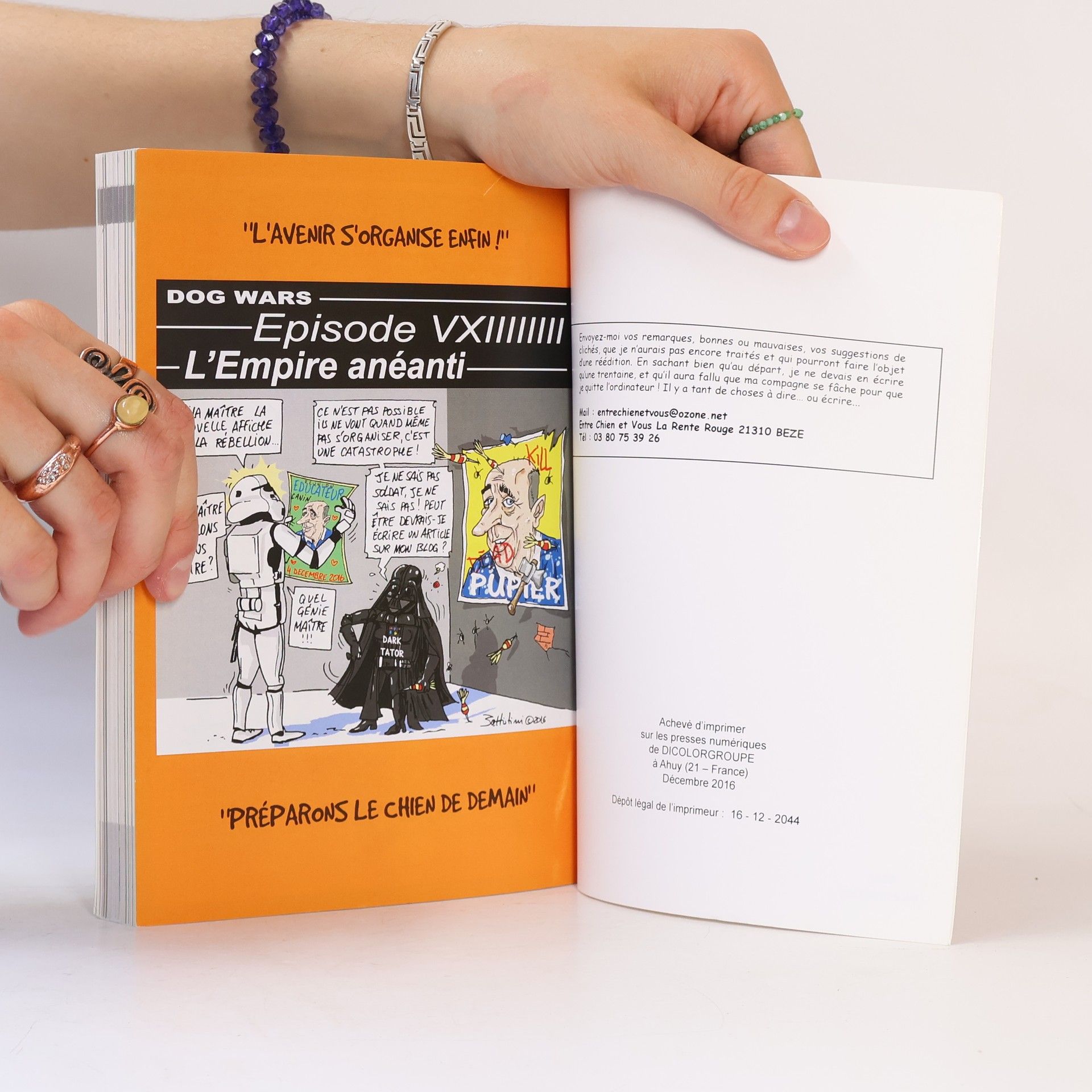 Virginie Girardet Les Clichés du Chien