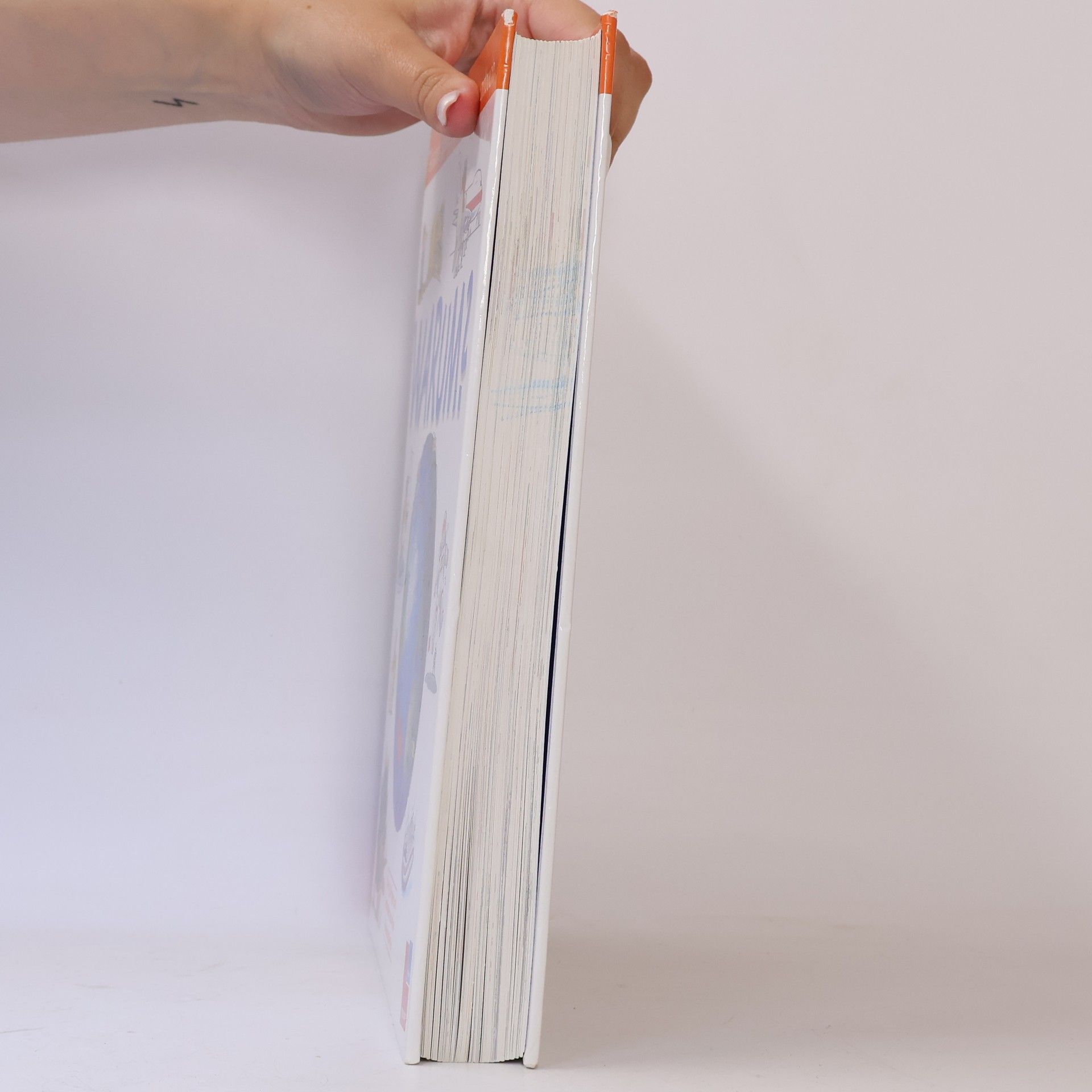 Autores varios Tessloffs großes schlaues Antwortbuch: Warum?