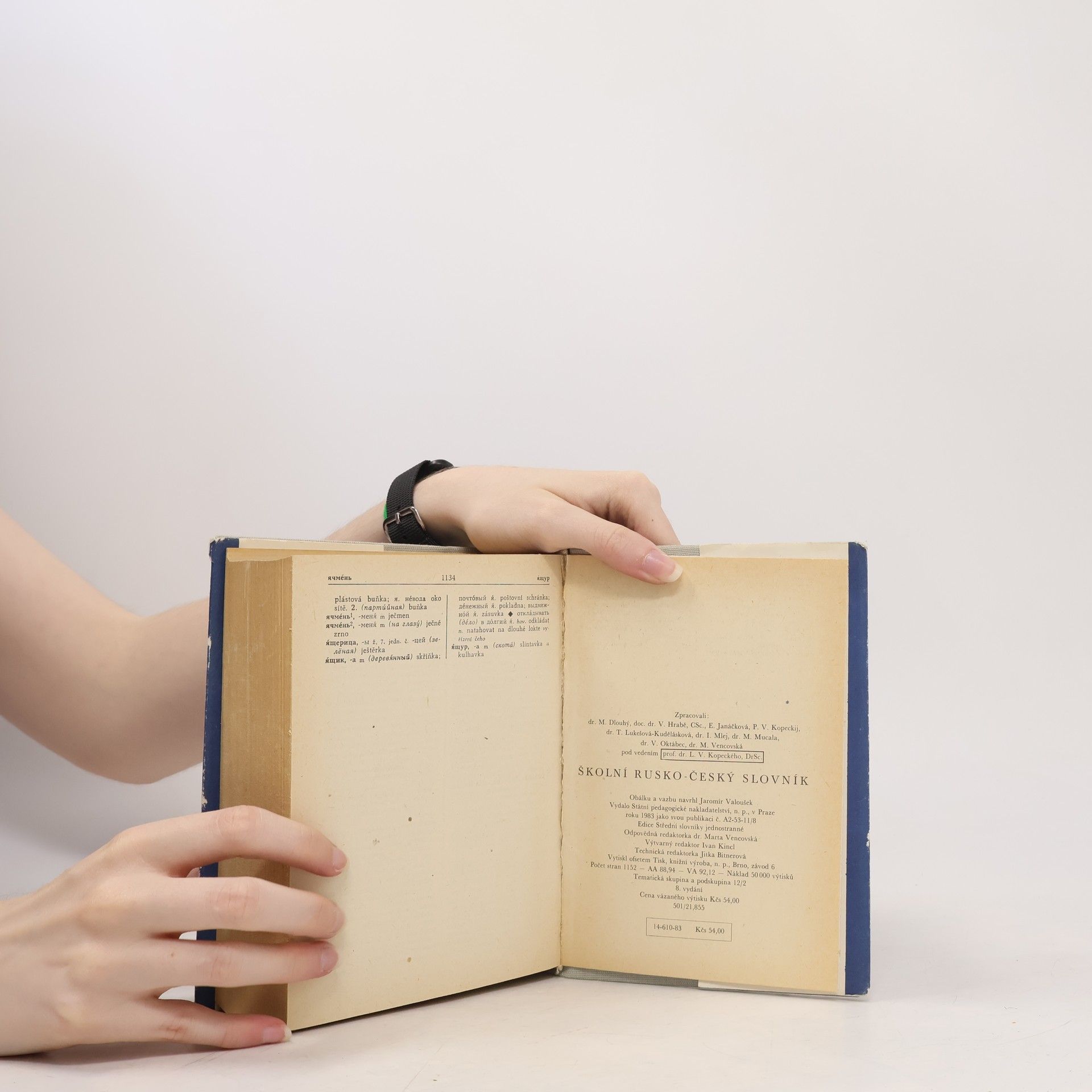 Various authors Školní rusko-český slovník