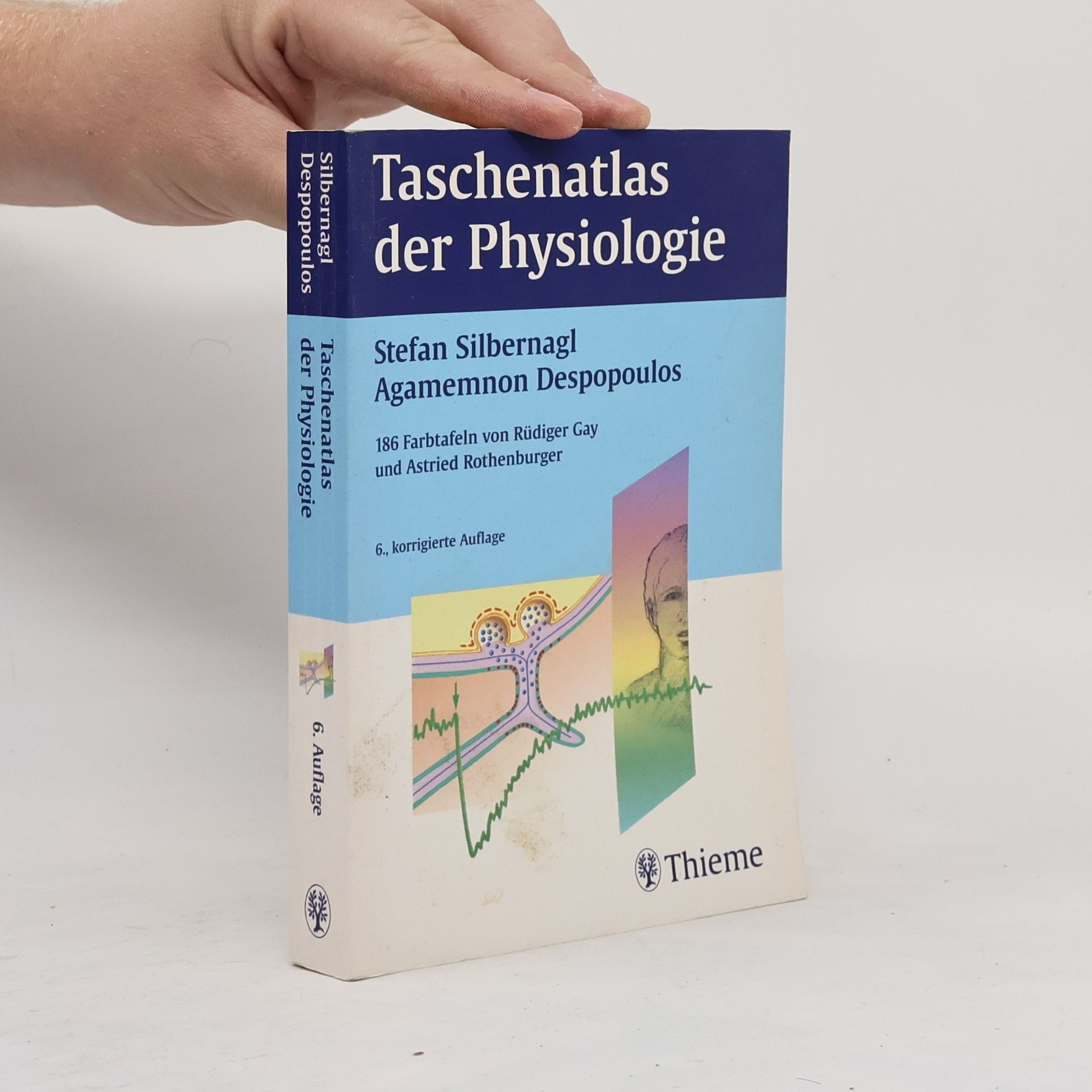 Stefan Silbernagl Taschenatlas der Physiologie