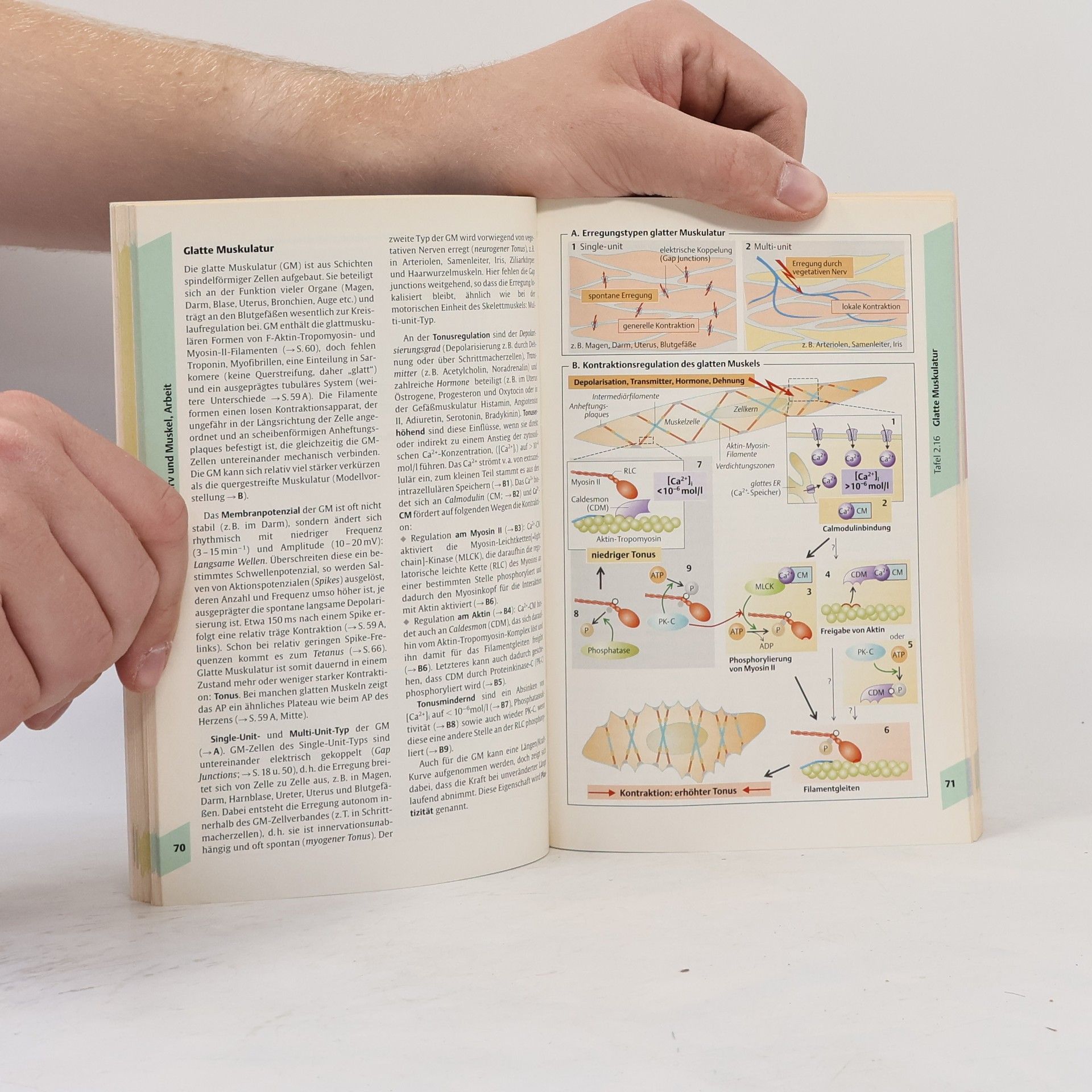 Stefan Silbernagl Taschenatlas der Physiologie