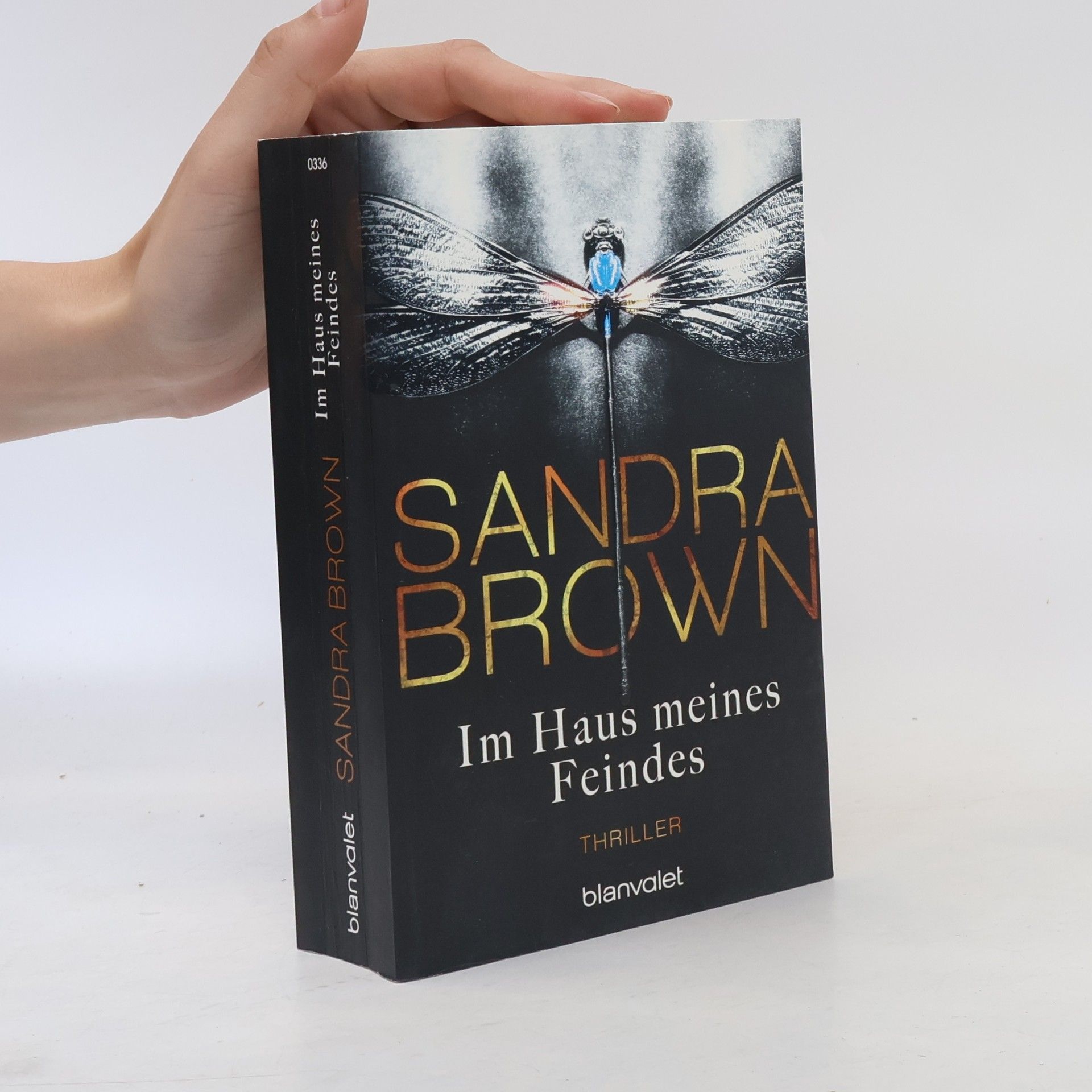 Sandra Brown Im Haus meines Feindes