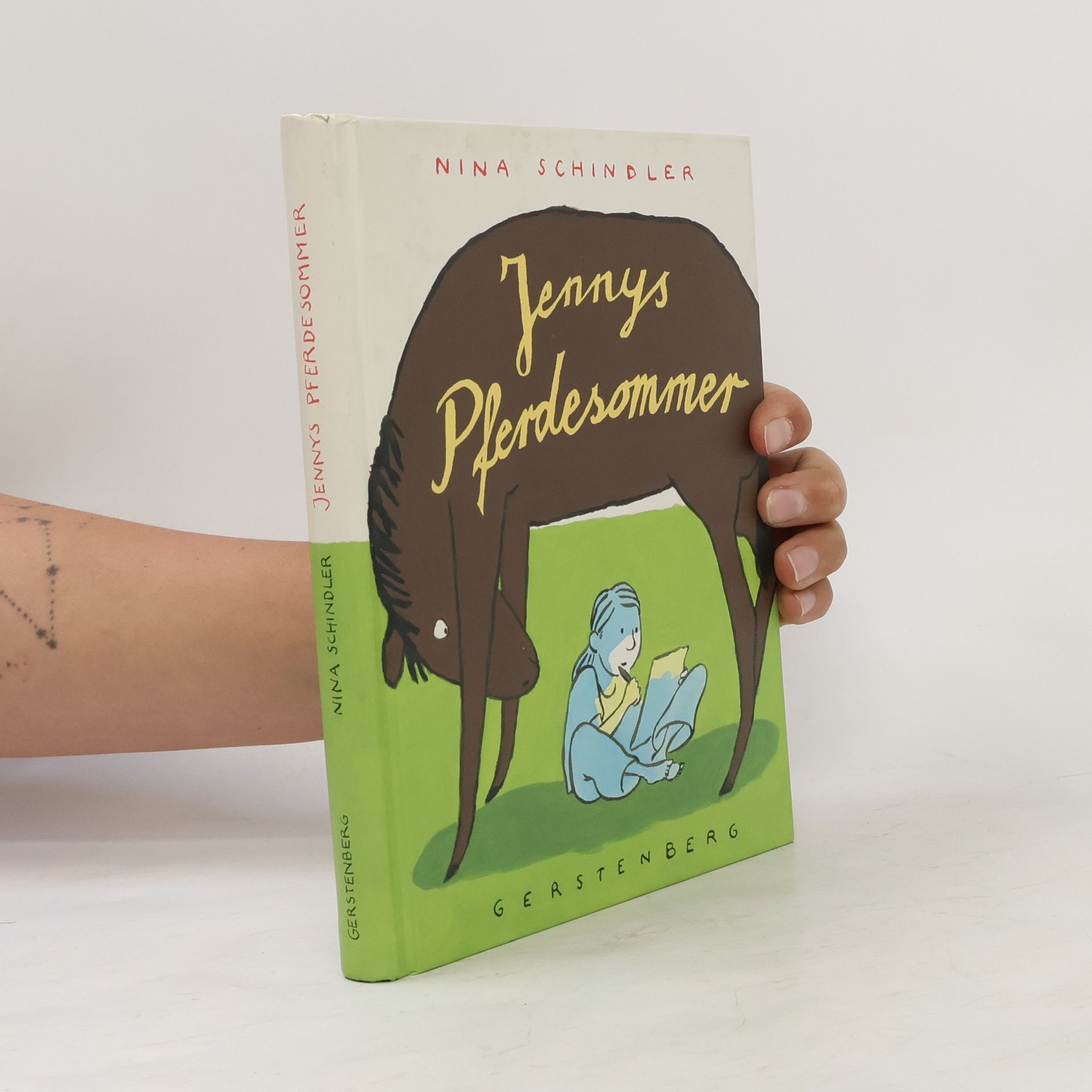 Jennys Pferdesommer