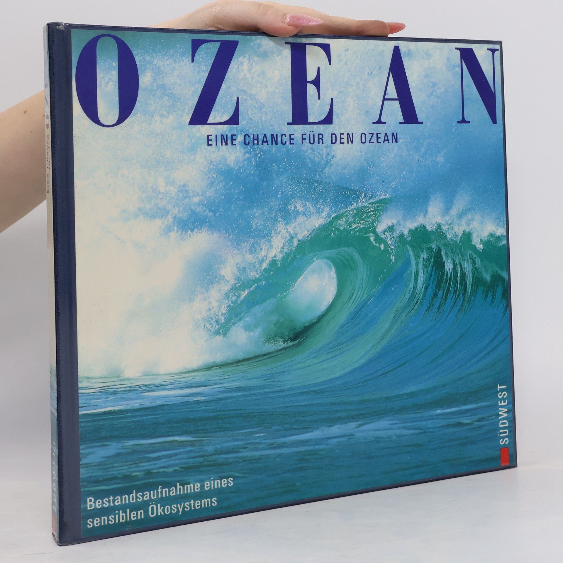 Autorenkollektiv Ozean. Eine Chance für den Ozean