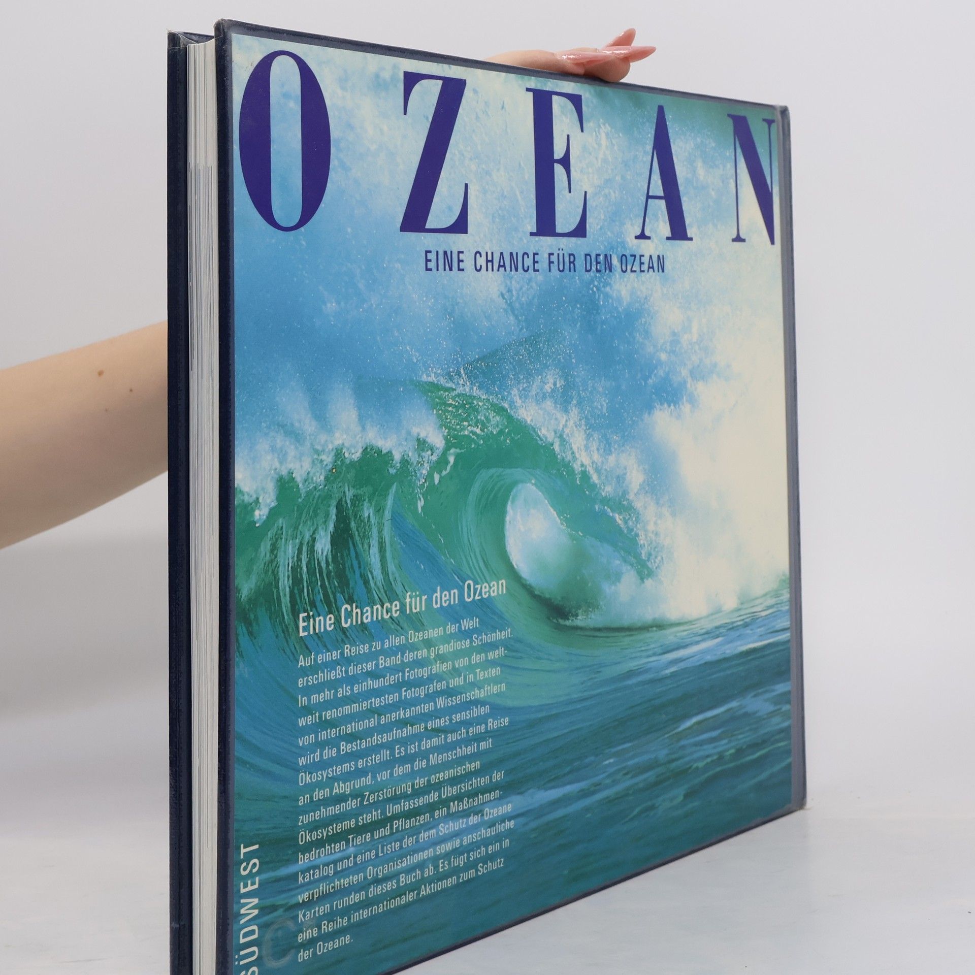 Autorenkollektiv Ozean. Eine Chance für den Ozean