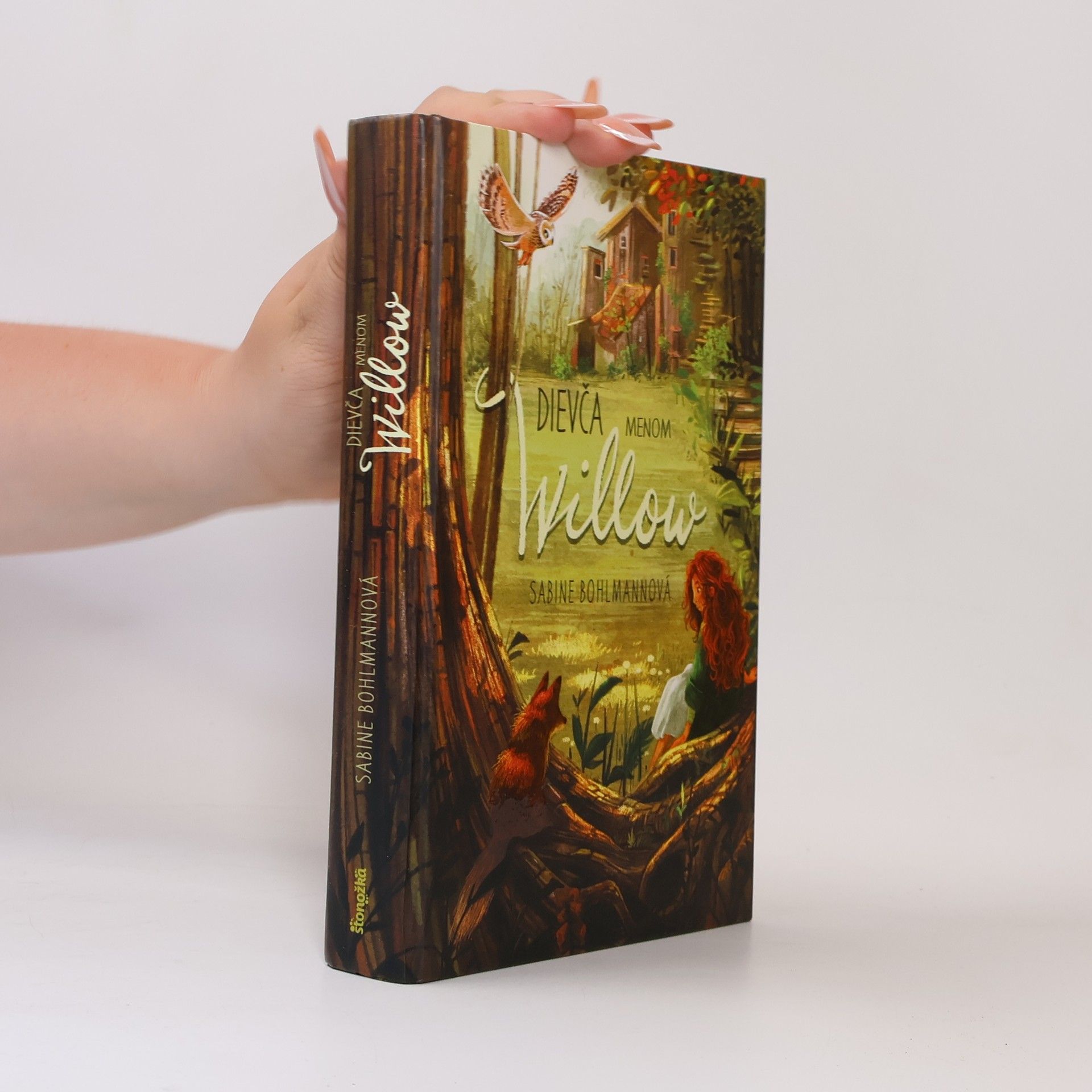 Sabine Bohlmann Dievča menom Willow