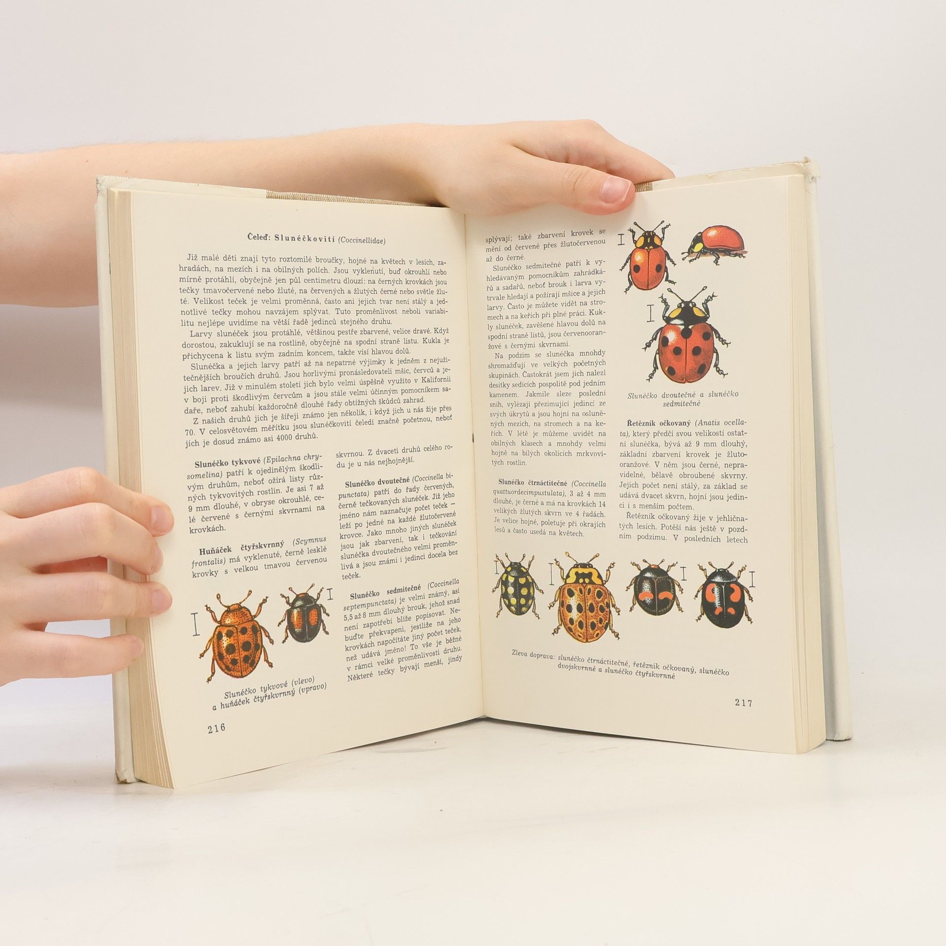 Various authors Světem zvířat V. díl 2. část