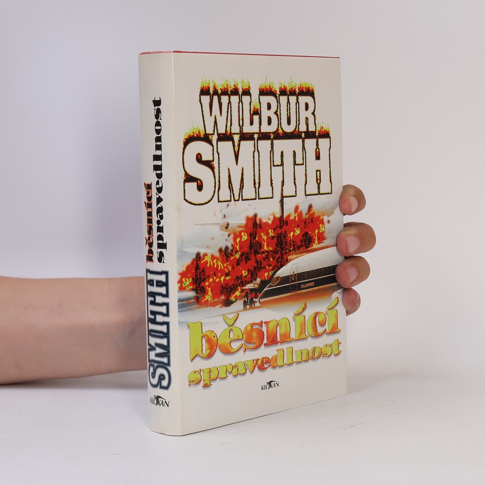 Wilbur Smith Běsnící spravedlnost
