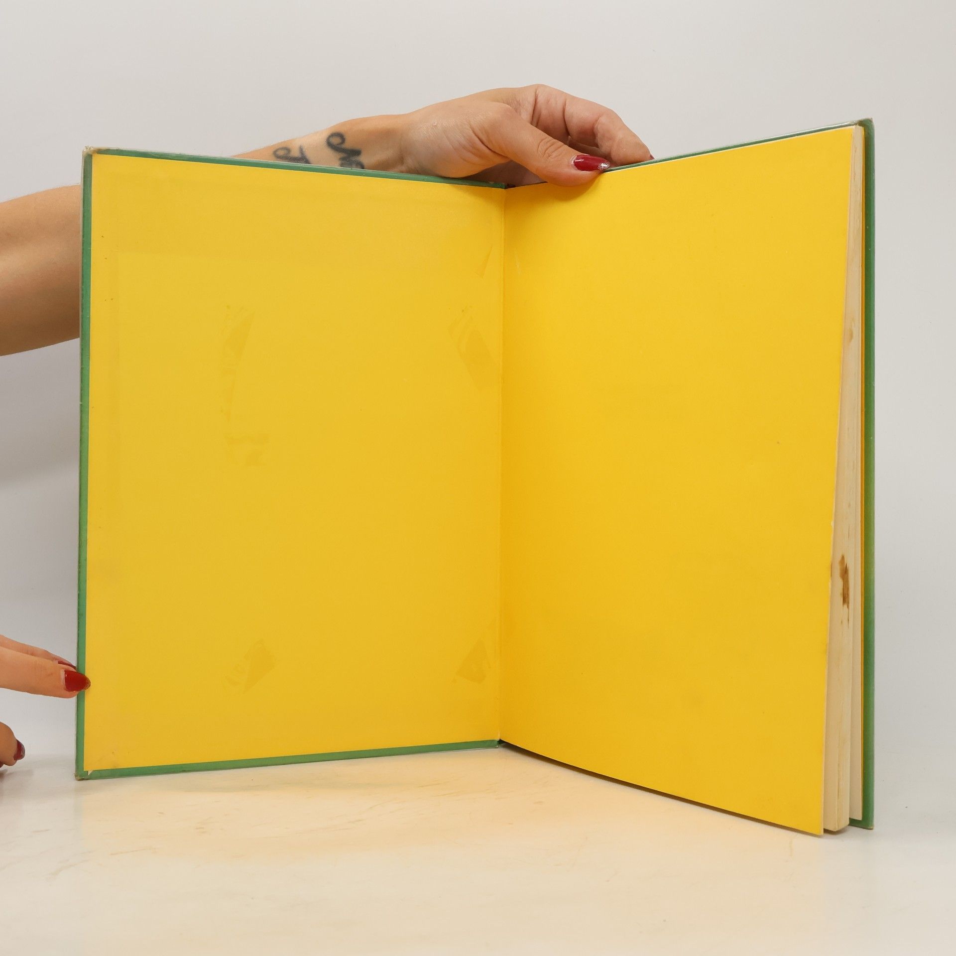 Barbara Rütting Barbara Rüttings Koch- und Spielbuch für Kinder