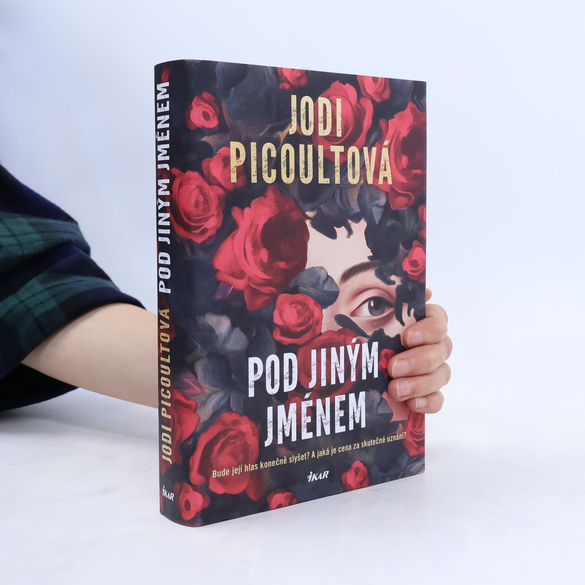 Jodi Picoult Pod jiným jménem