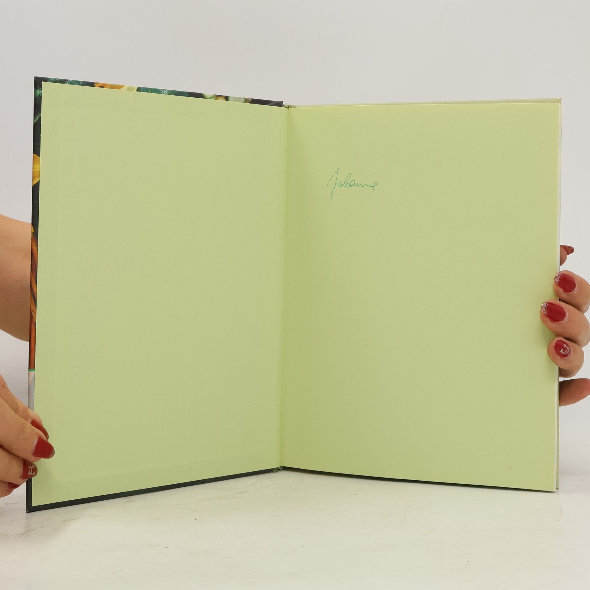 Monika Judä Zucchini-Kochbuch