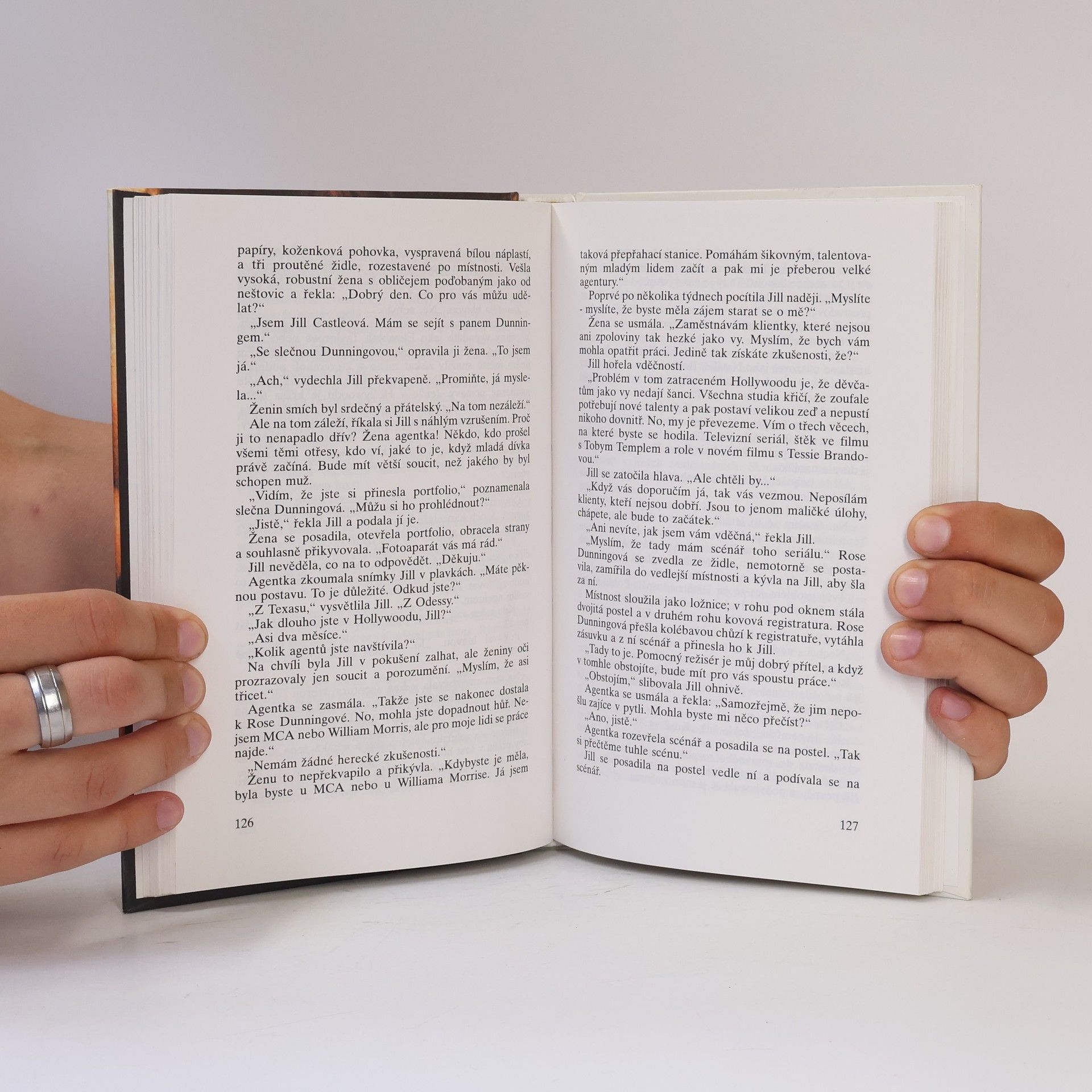 Sidney Sheldon Cizinec v zrcadle