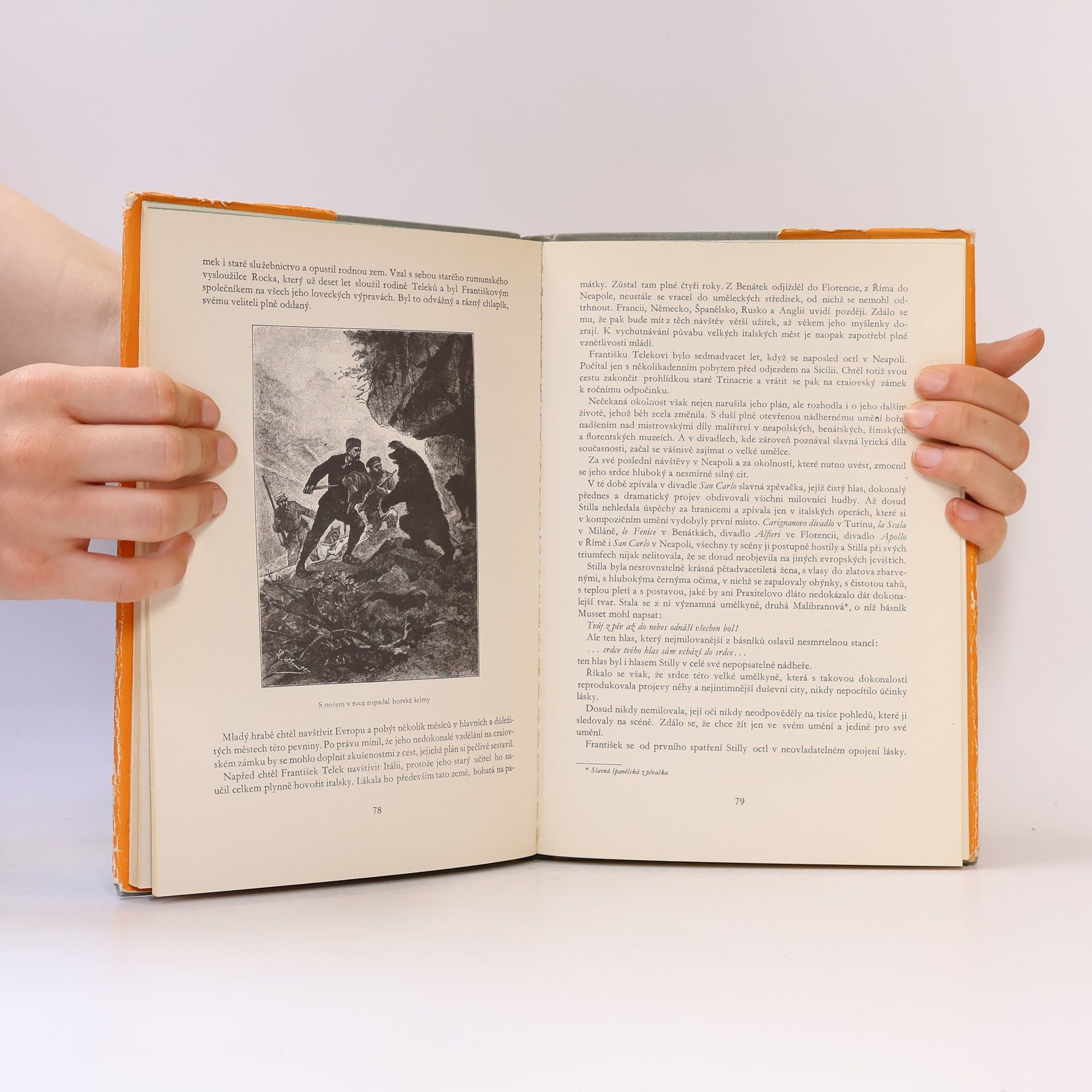 Jules Verne Tajemný hrad v Karpatech