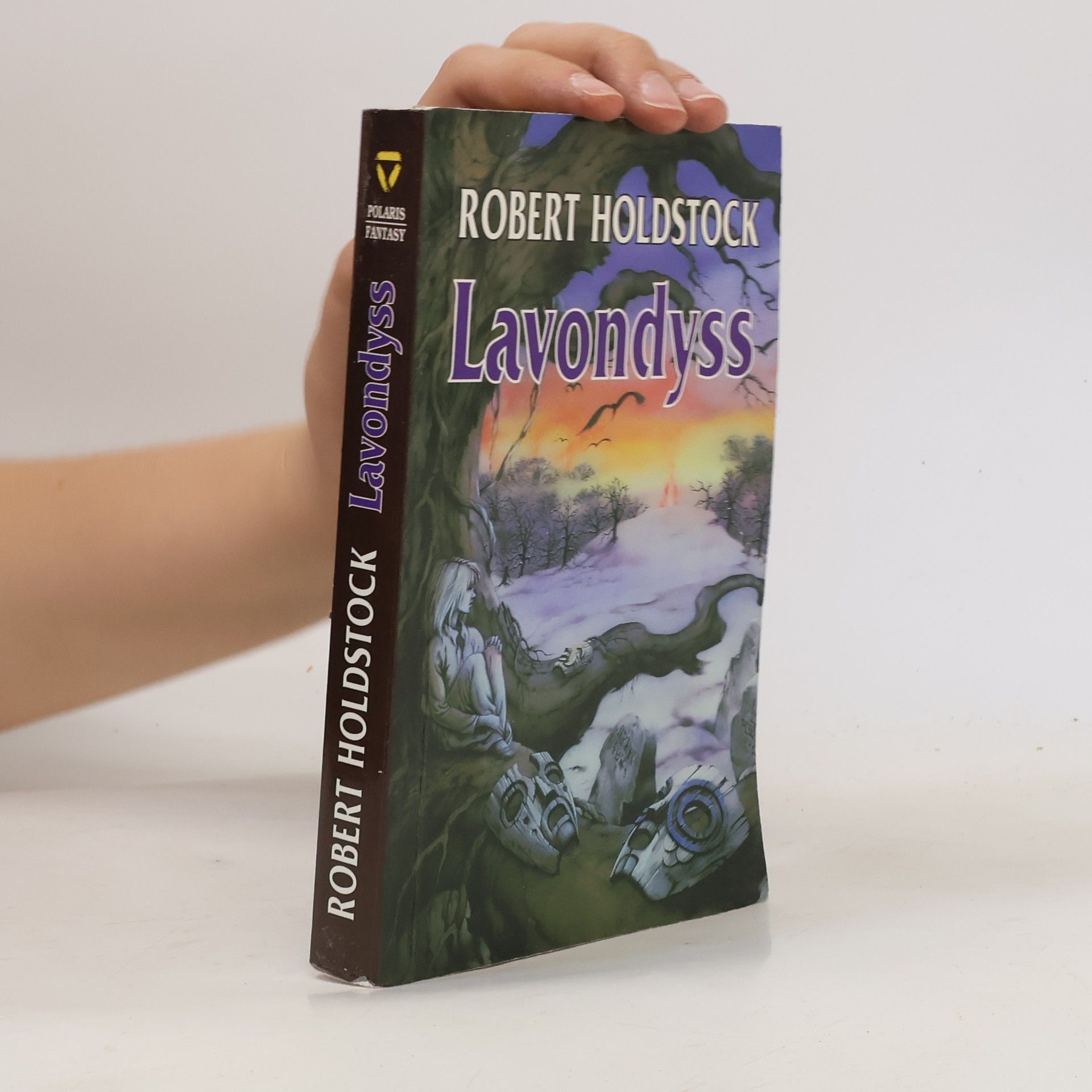 Robert Holdstock Lavondyss : cesta do neznámé země