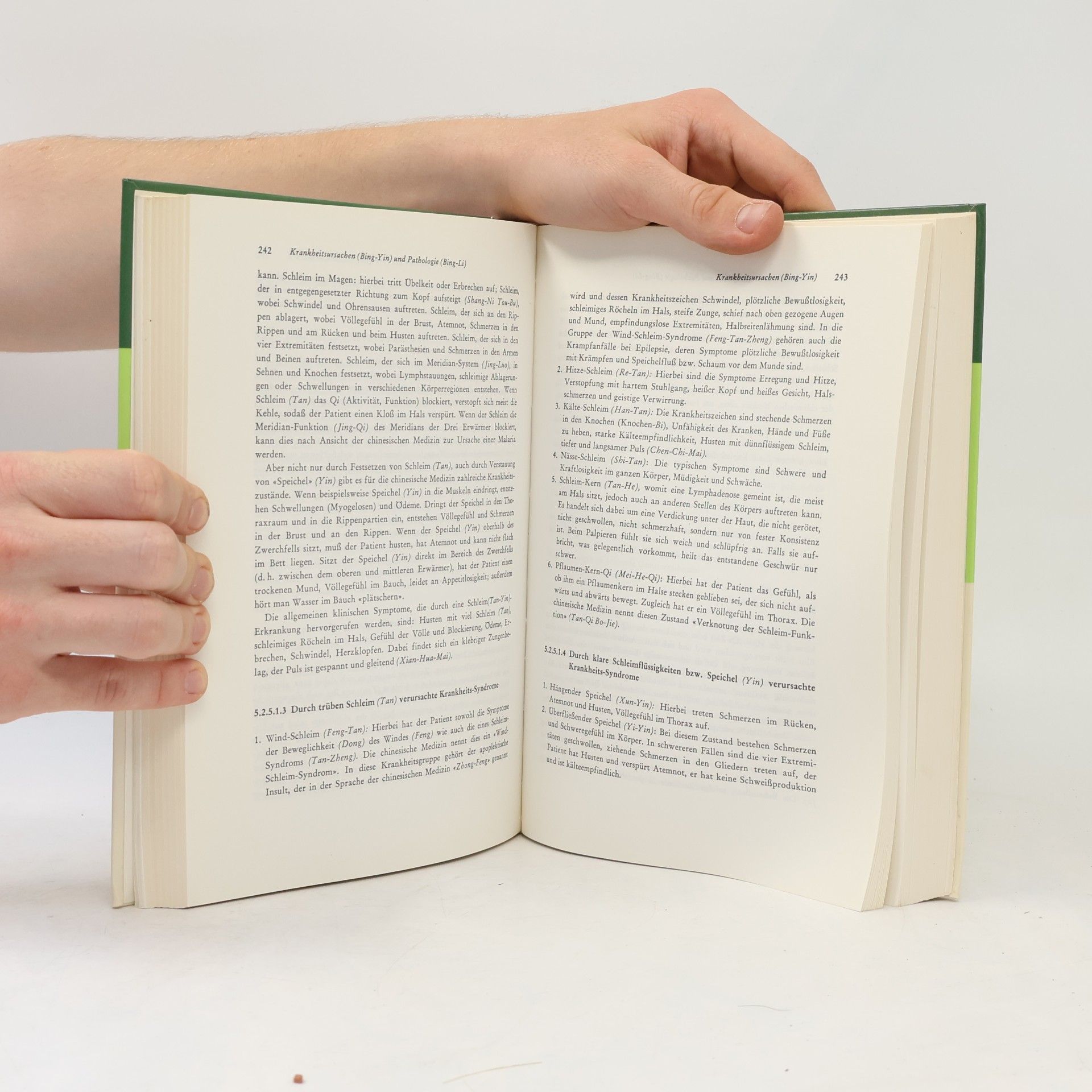 Claus C. Schnorrenberger Lehrbuch der chinesischen Medizin für westliche Ärzte