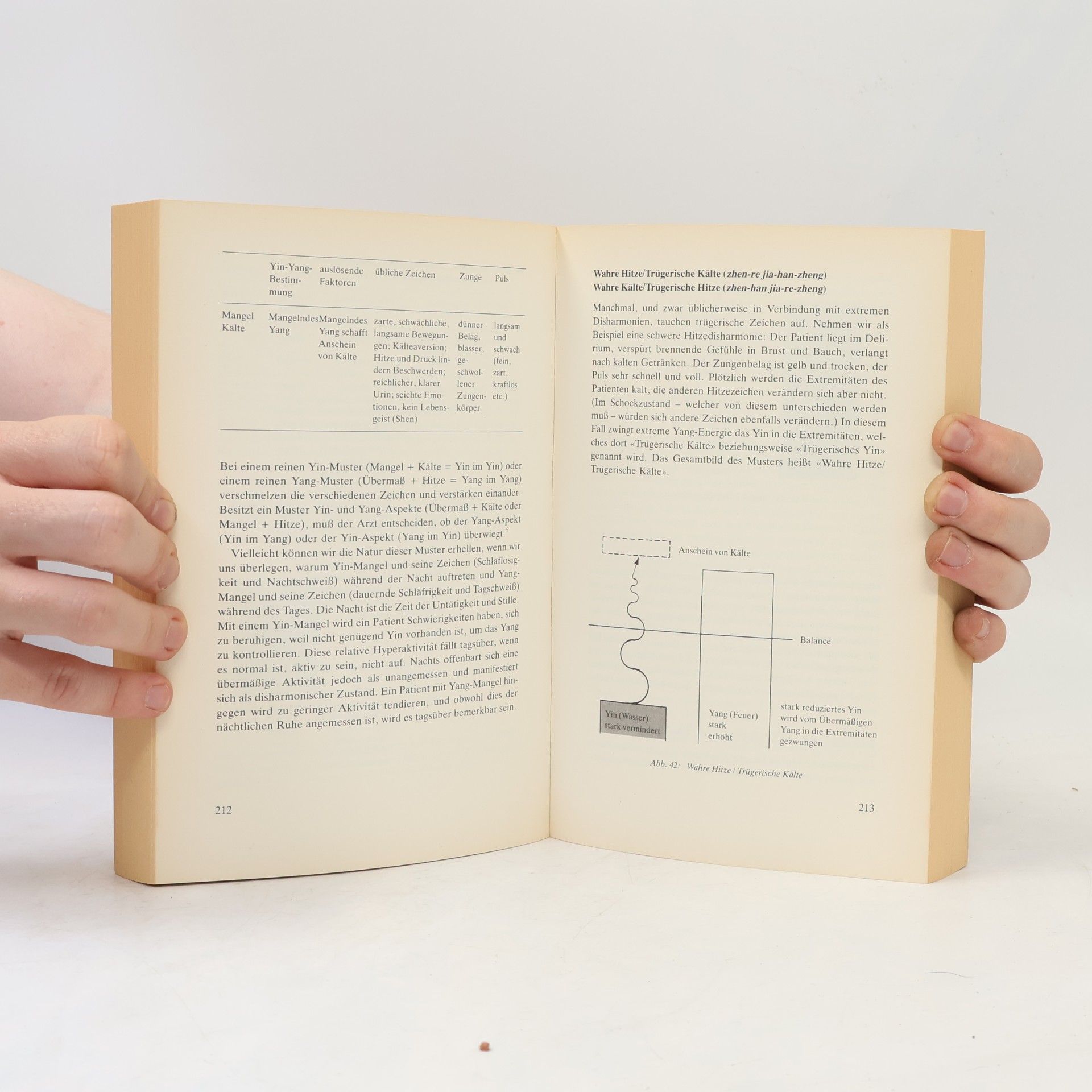 Ted Kaptchuk Das große Buch der chinesischen Medizin