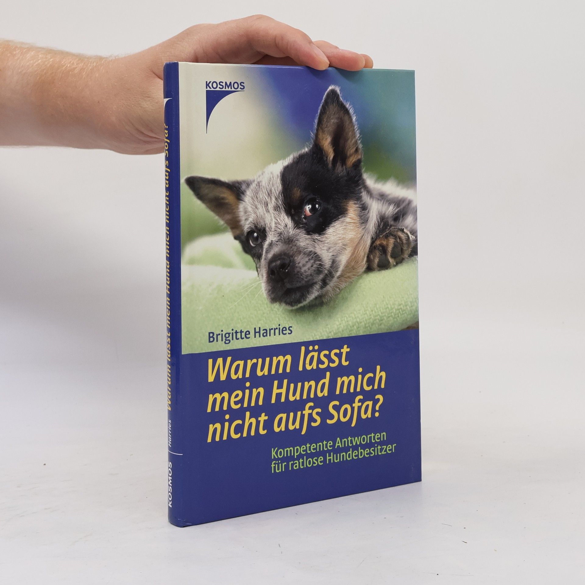 Brigitte Harries Warum lässt mein Hund mich nicht aufs Sofa?