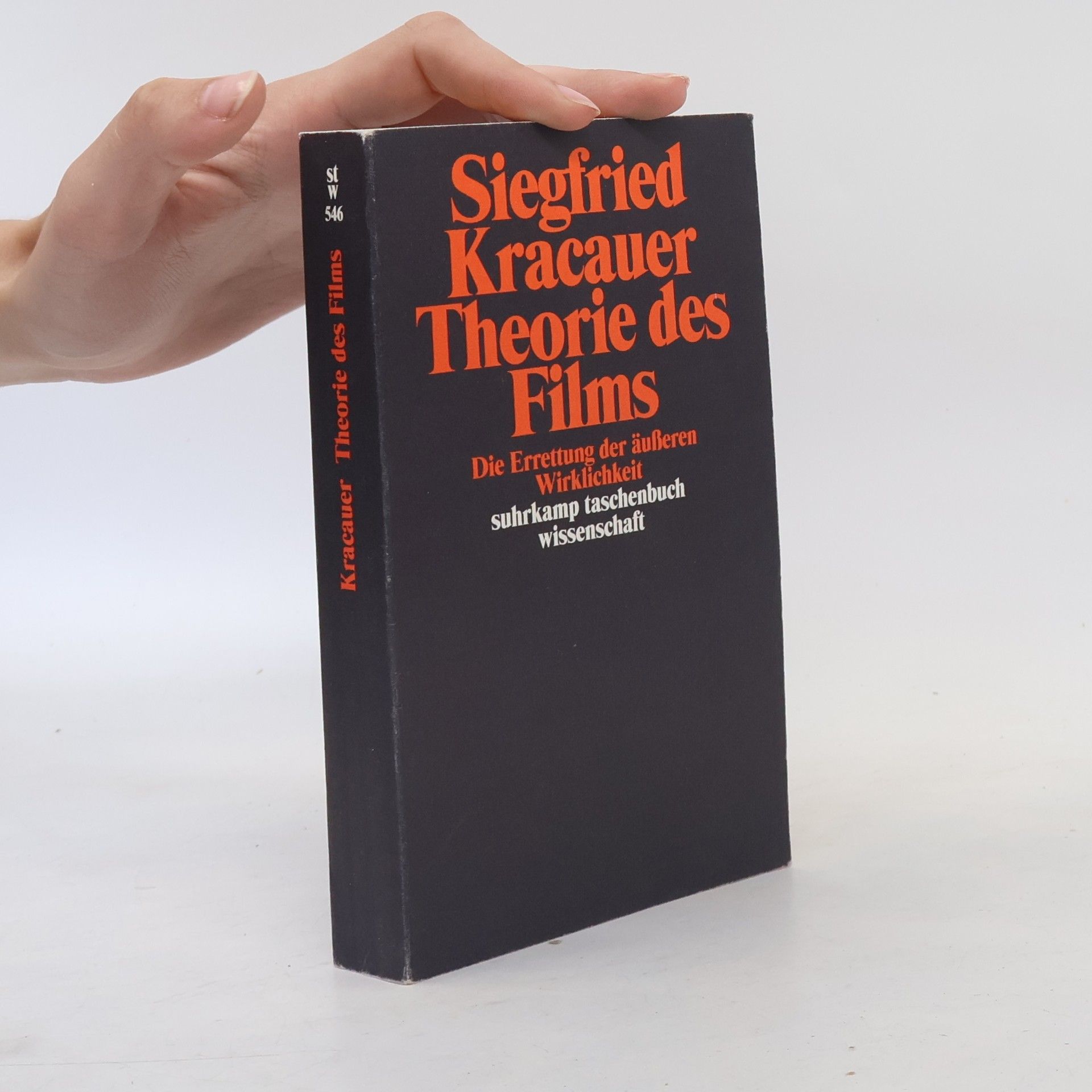 Siegfried Kracauer Theorie des Films
