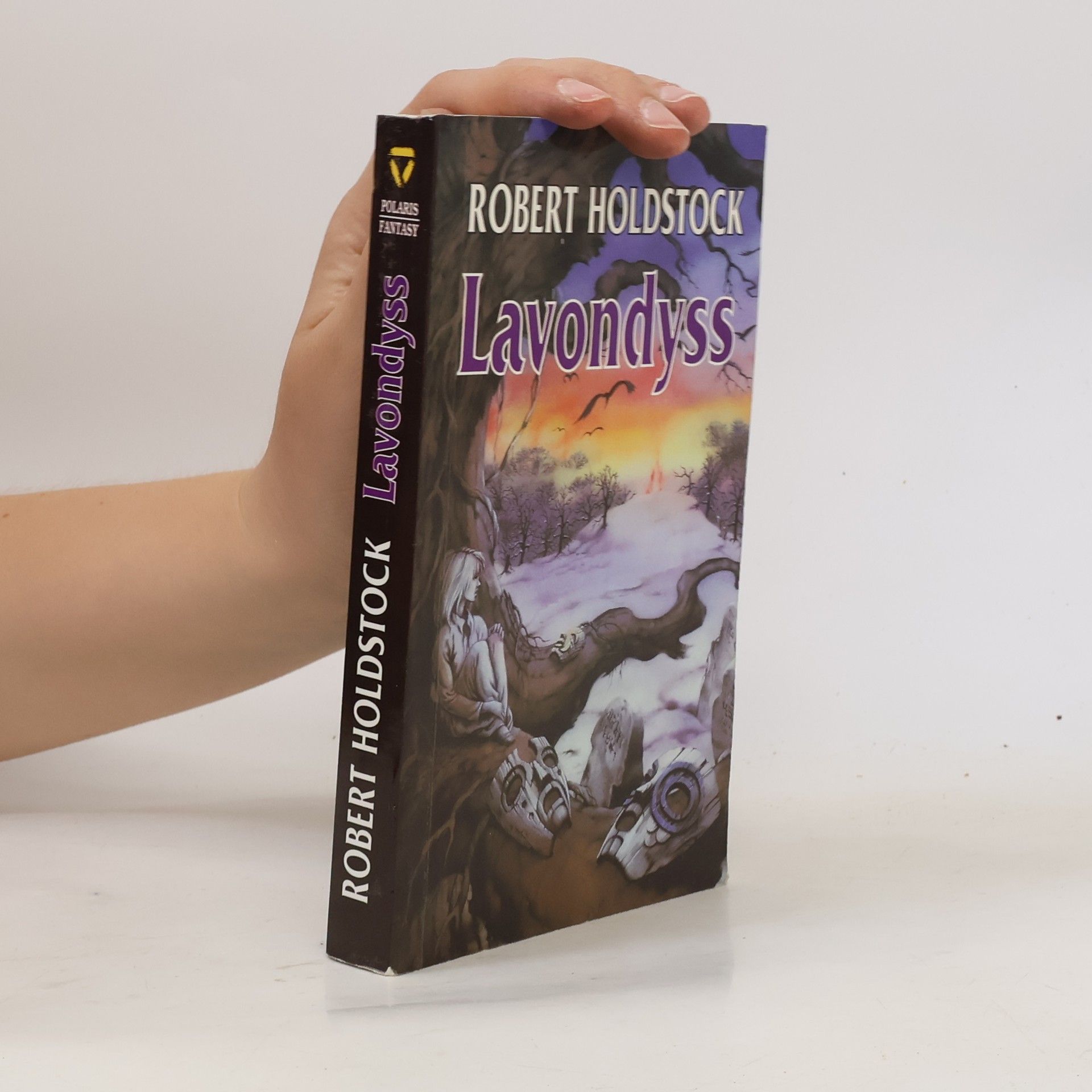 Robert Holdstock Lavondyss : cesta do neznámé země