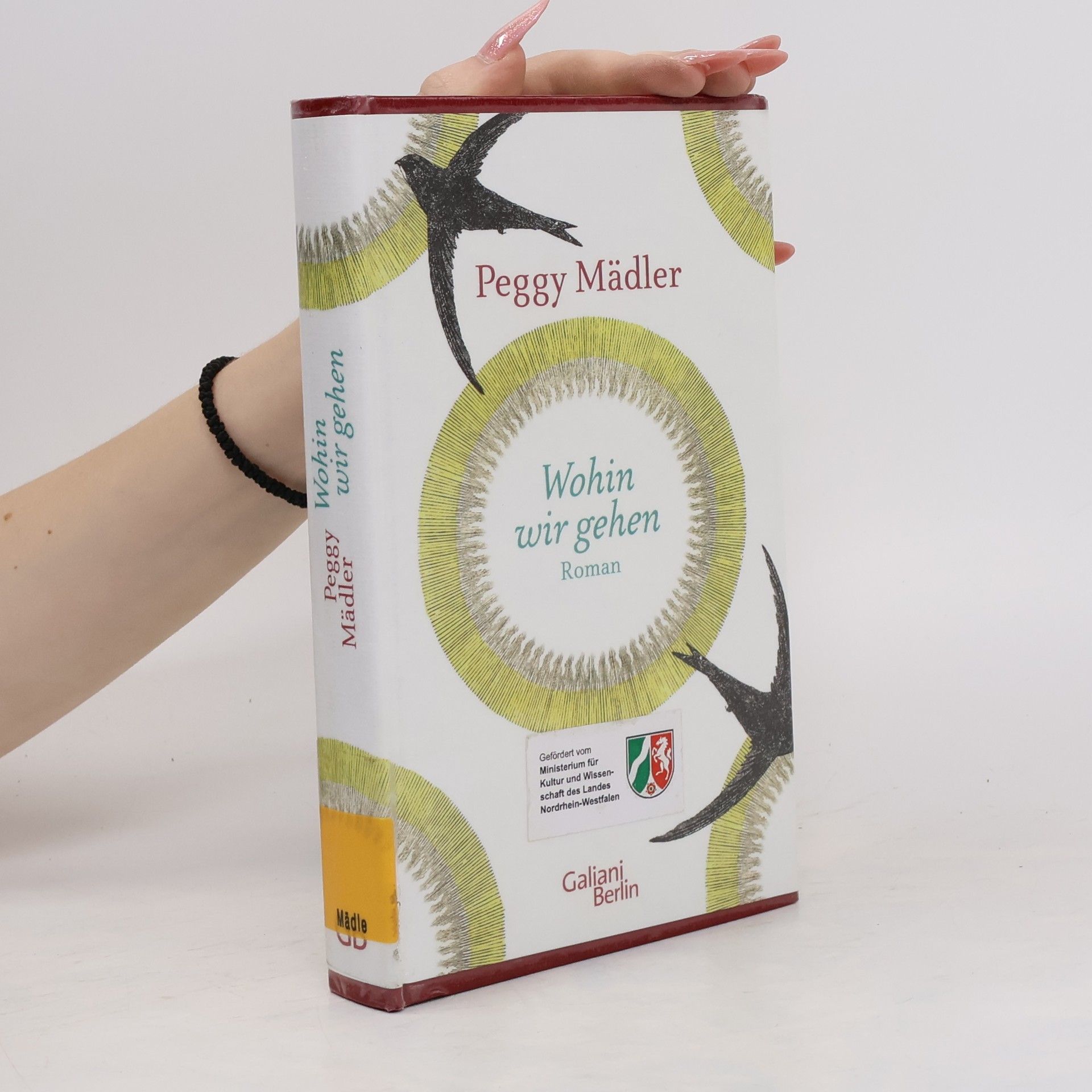 Peggy Mädler Wohin wir gehen