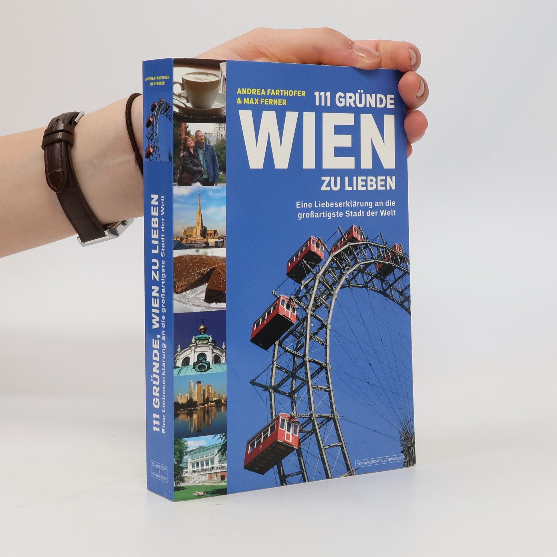 Andrea Farthofer 111 Gründe, Wien zu lieben