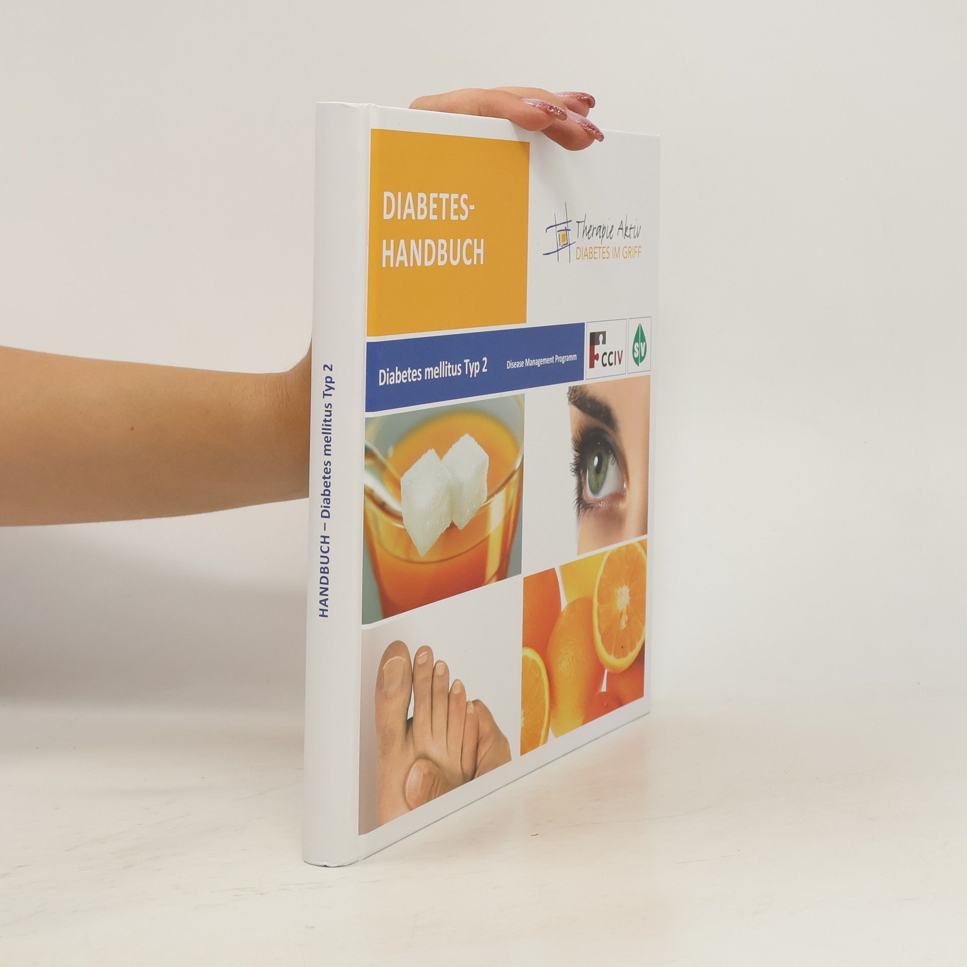 Autorenkollektiv Diabetes-Handbuch. Diabetes mellitus Typ 2