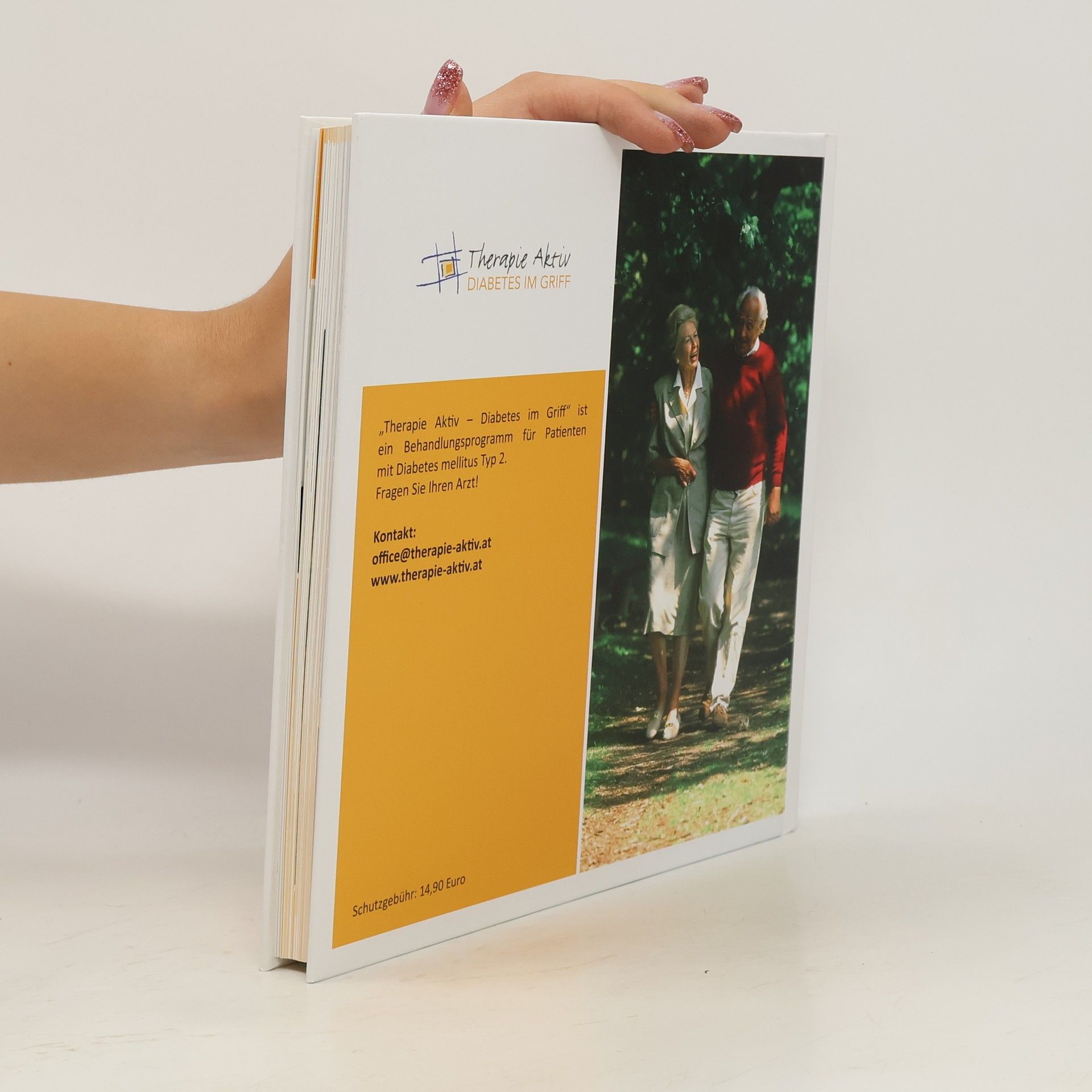 Autorenkollektiv Diabetes-Handbuch. Diabetes mellitus Typ 2