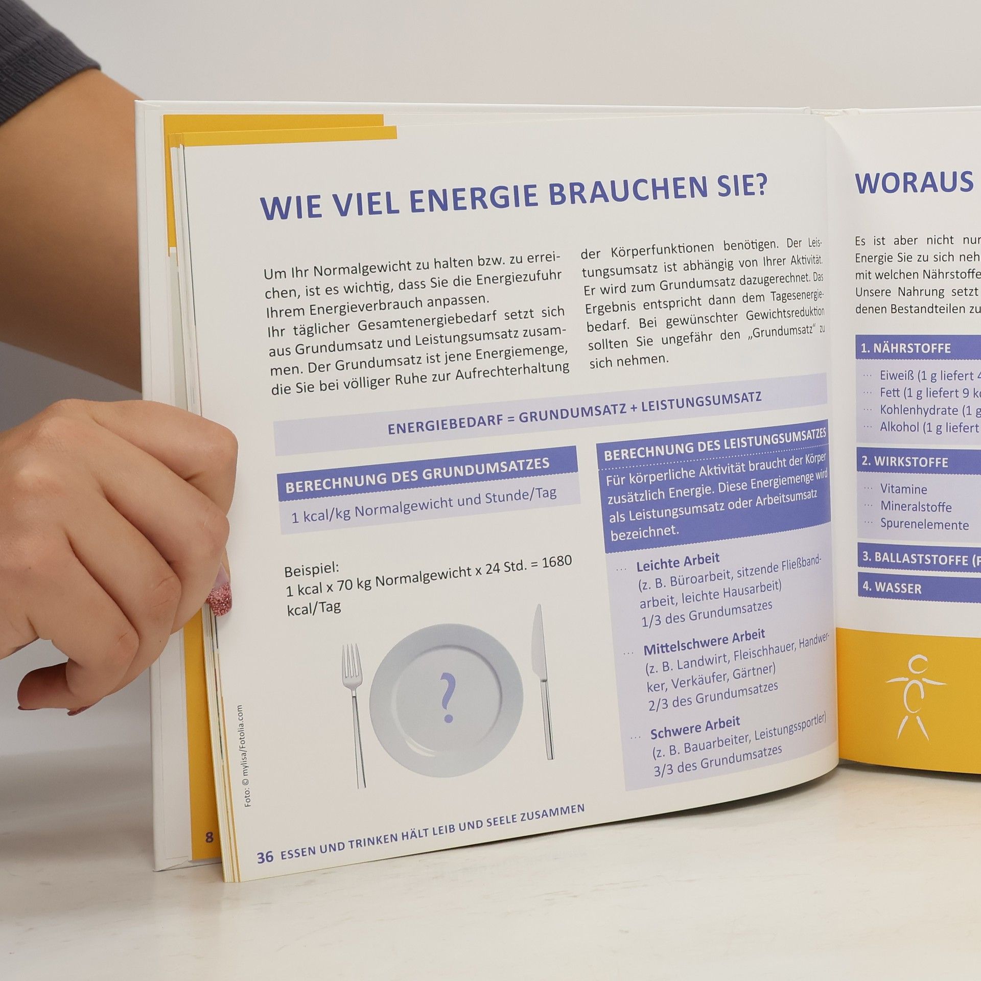 Autorenkollektiv Diabetes-Handbuch. Diabetes mellitus Typ 2