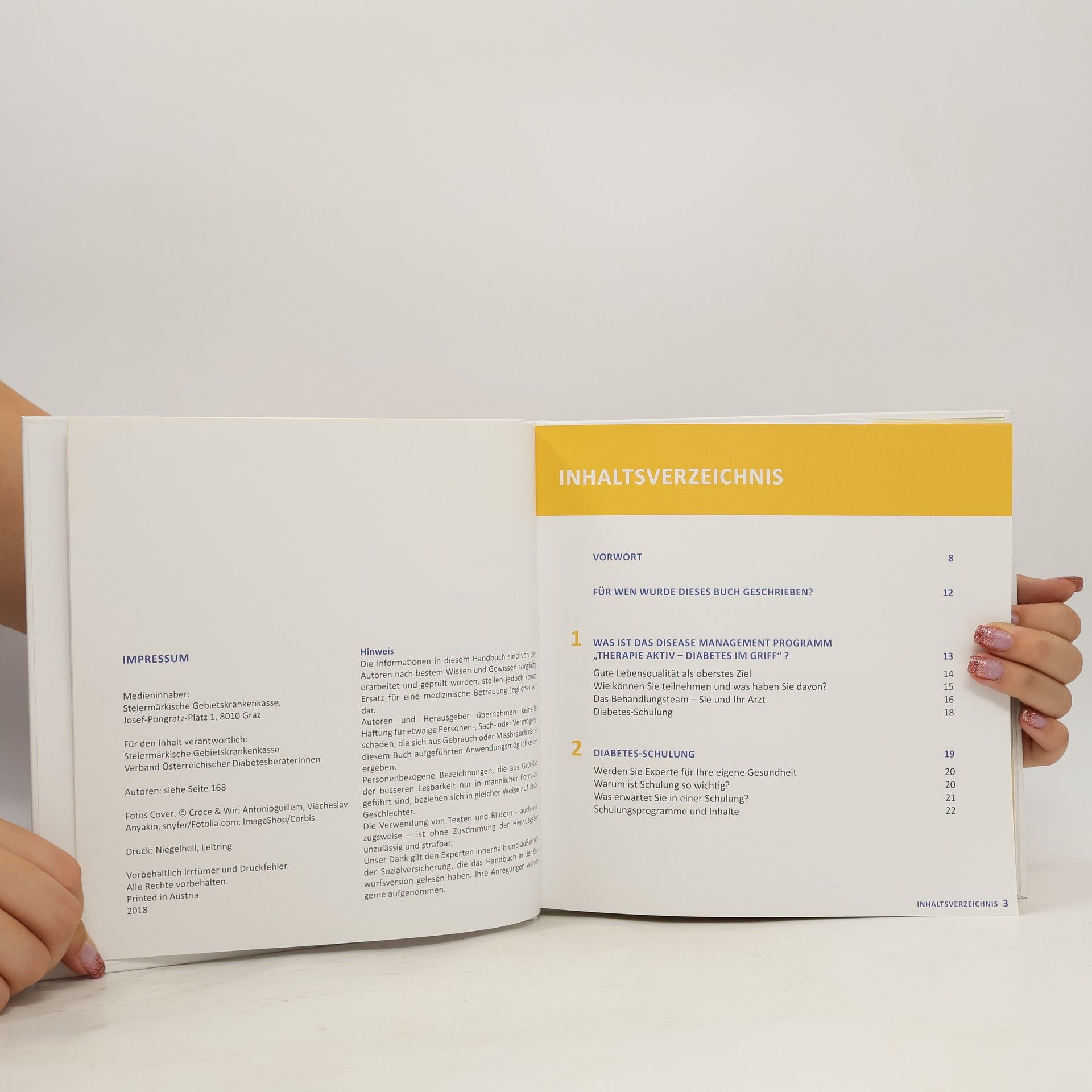 Autorenkollektiv Diabetes-Handbuch. Diabetes mellitus Typ 2
