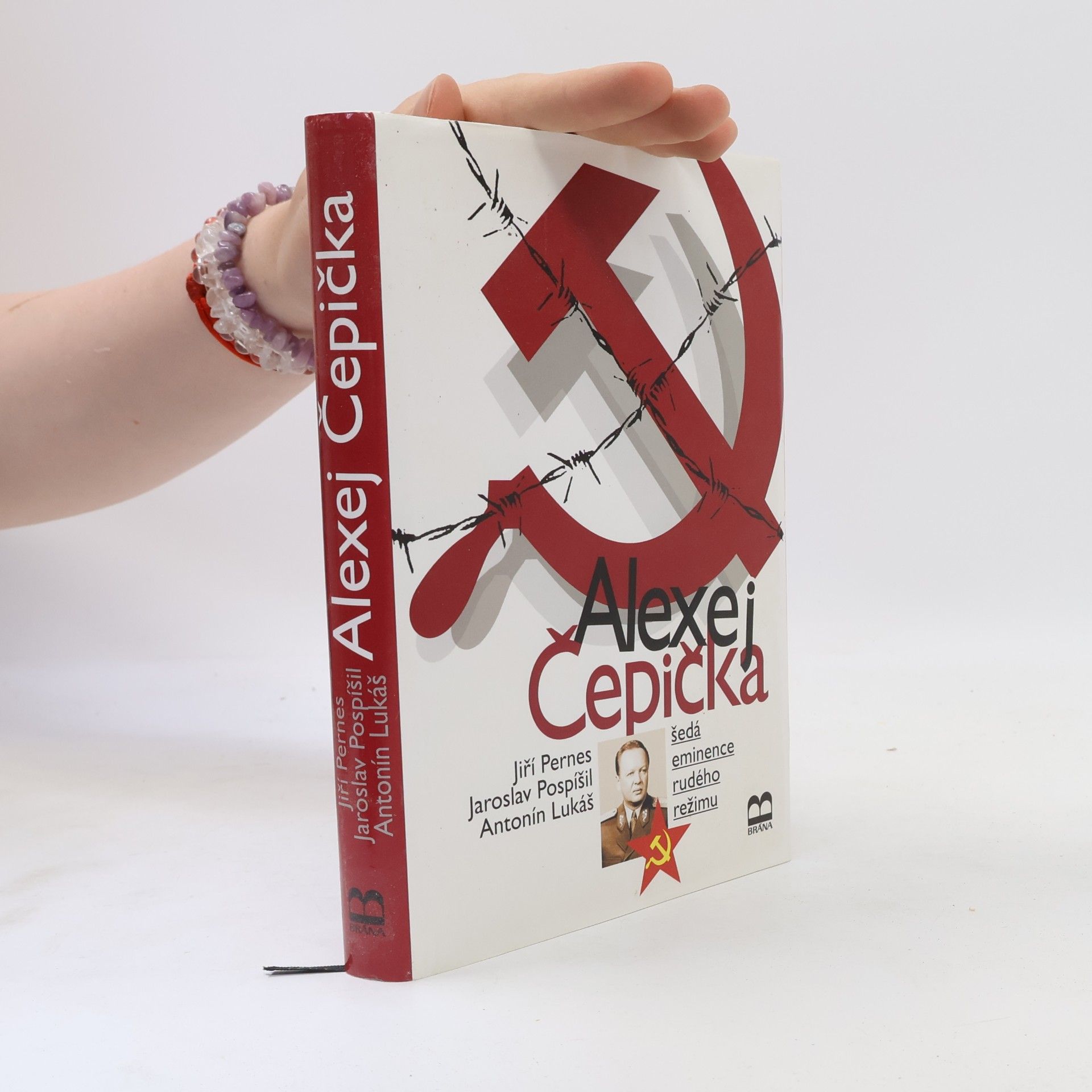 Antonín Lukáš Alexej Čepička : šedá eminence rudého režimu