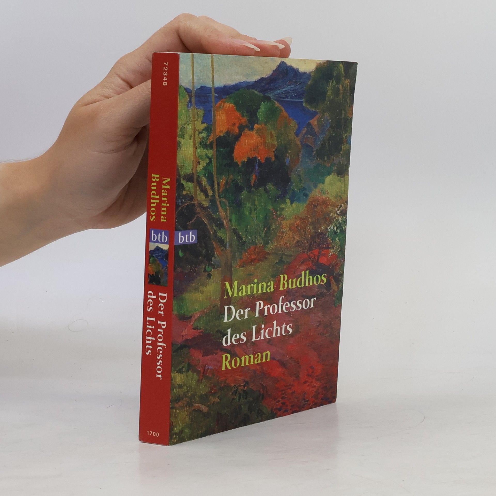 Marina Budhos Der Professor des Lichts