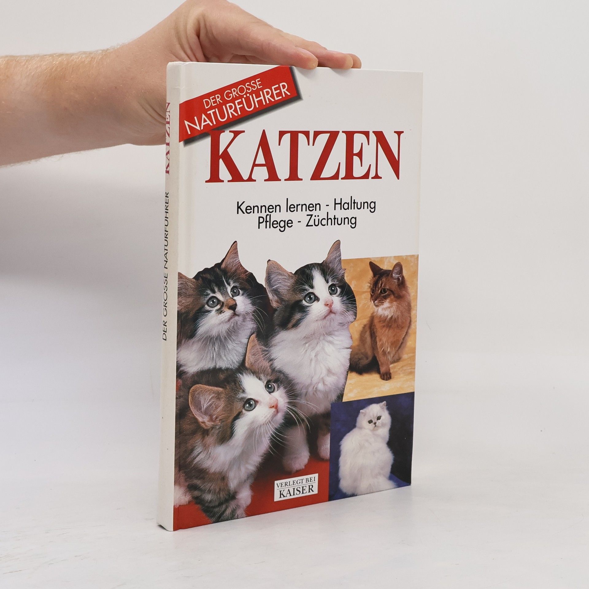 Autores varios Katzen. Kennen lernen, Haltung, Pflege, Züchtung