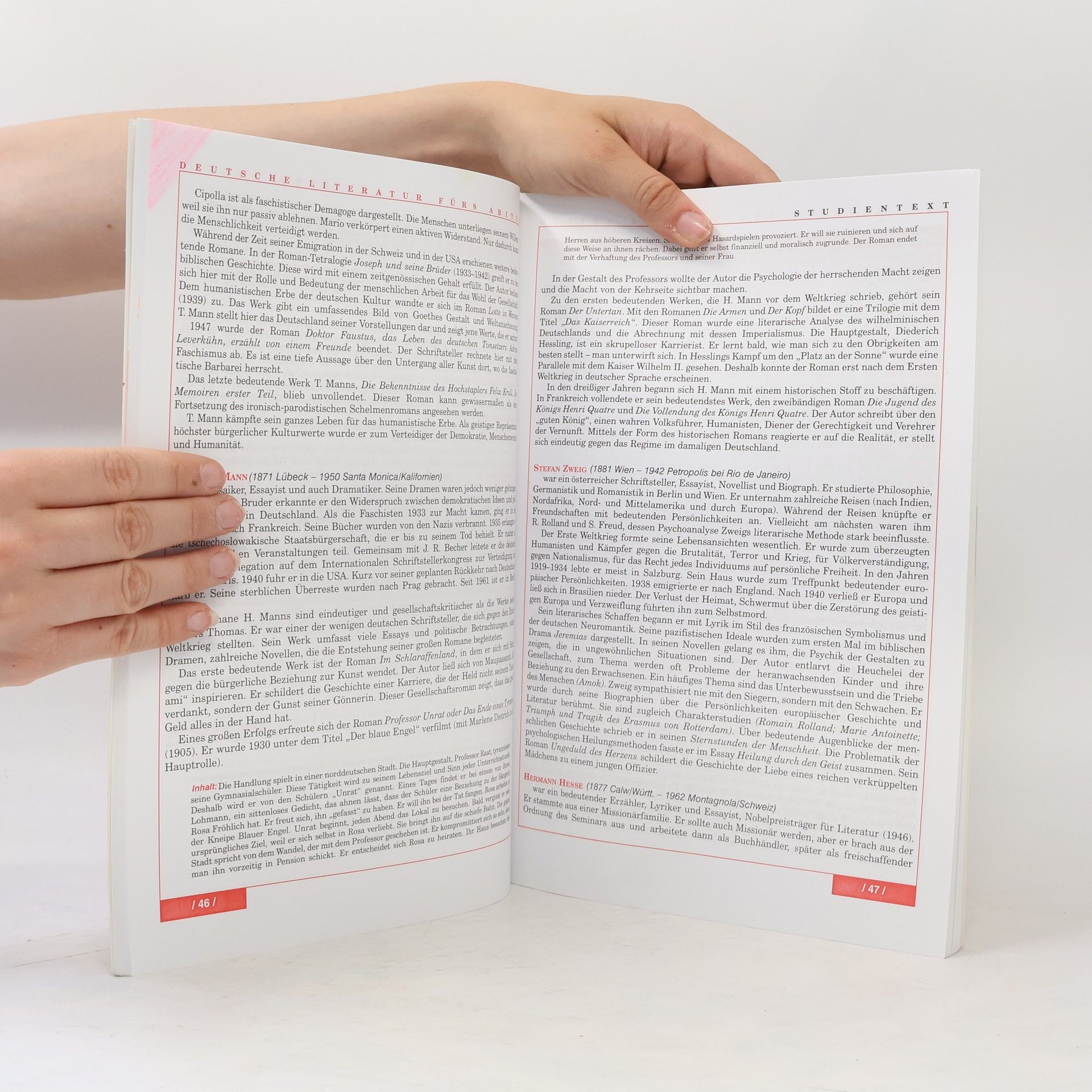 Hana Justova Deutsche Literatur fürs Abitur