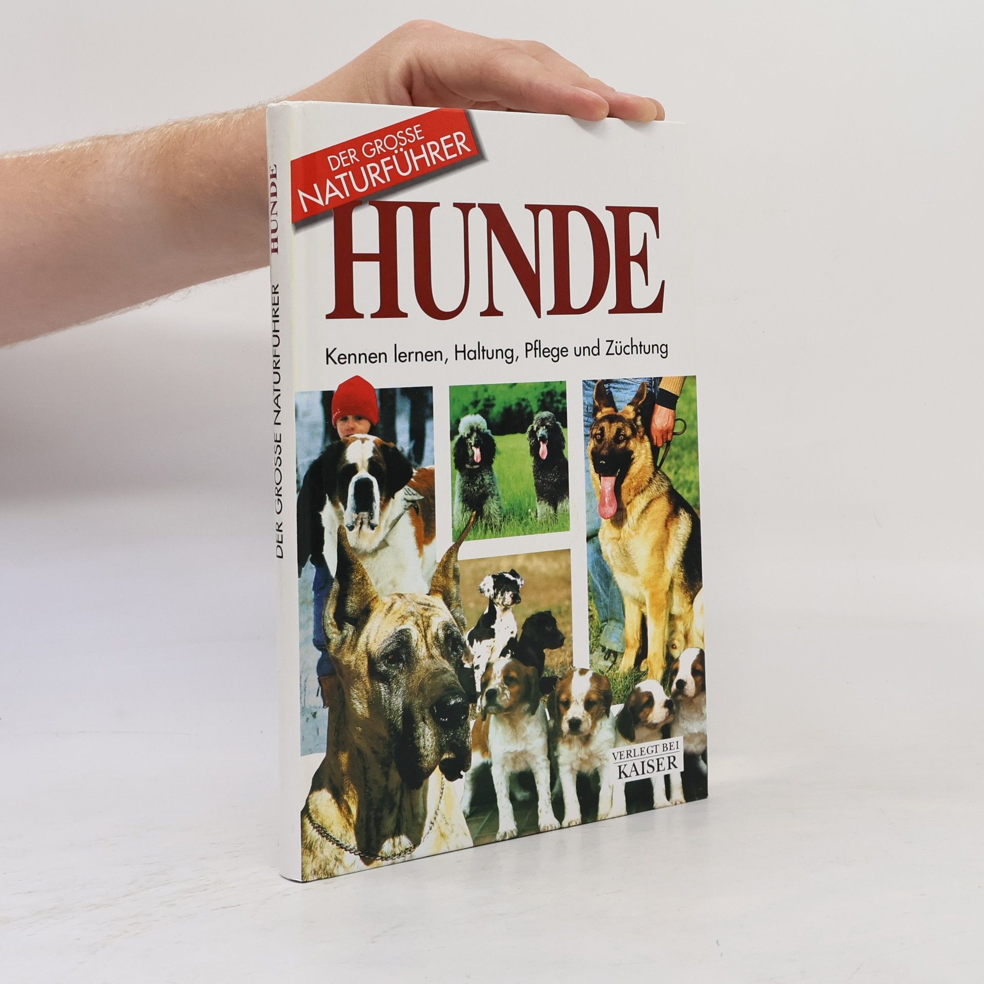 Rino Falappi Der Grosse Naturführer Hunde