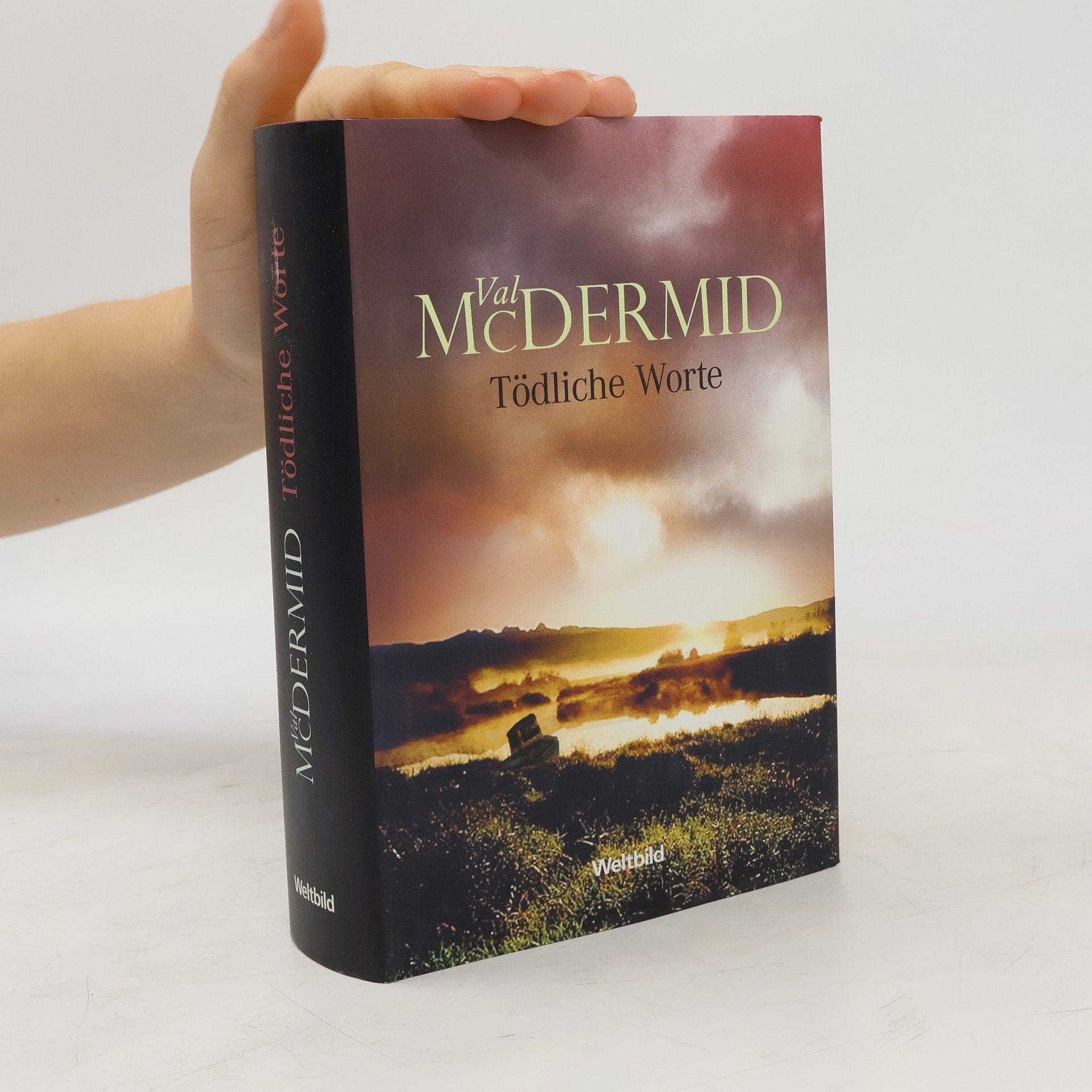 Val McDermid Tödliche Worte