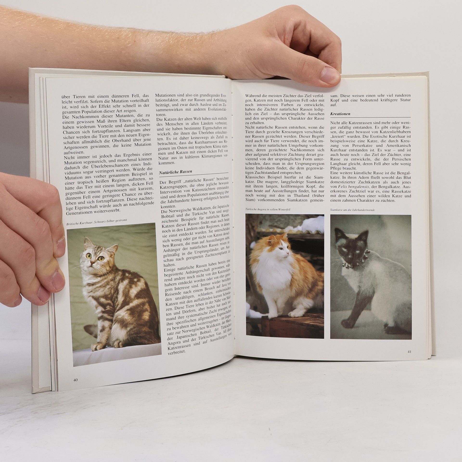 Esther J. J. Verhoef-Verhallen Katzen-Enzyklopädie
