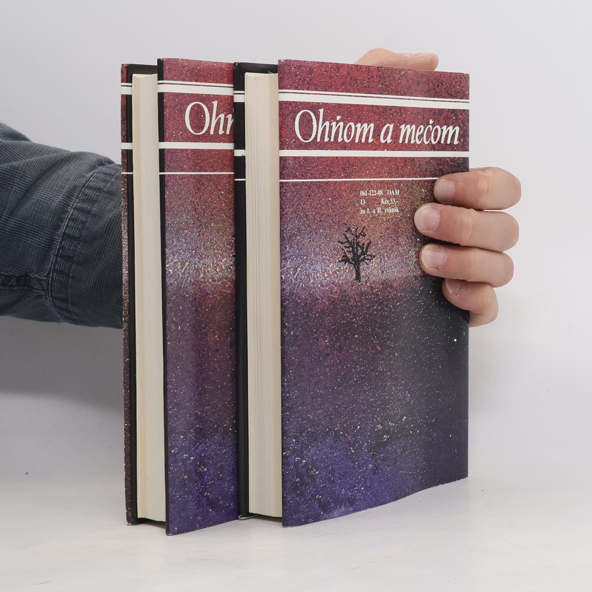 Henryk Sienkiewicz Ohňom a mečom 1. a 2. díl