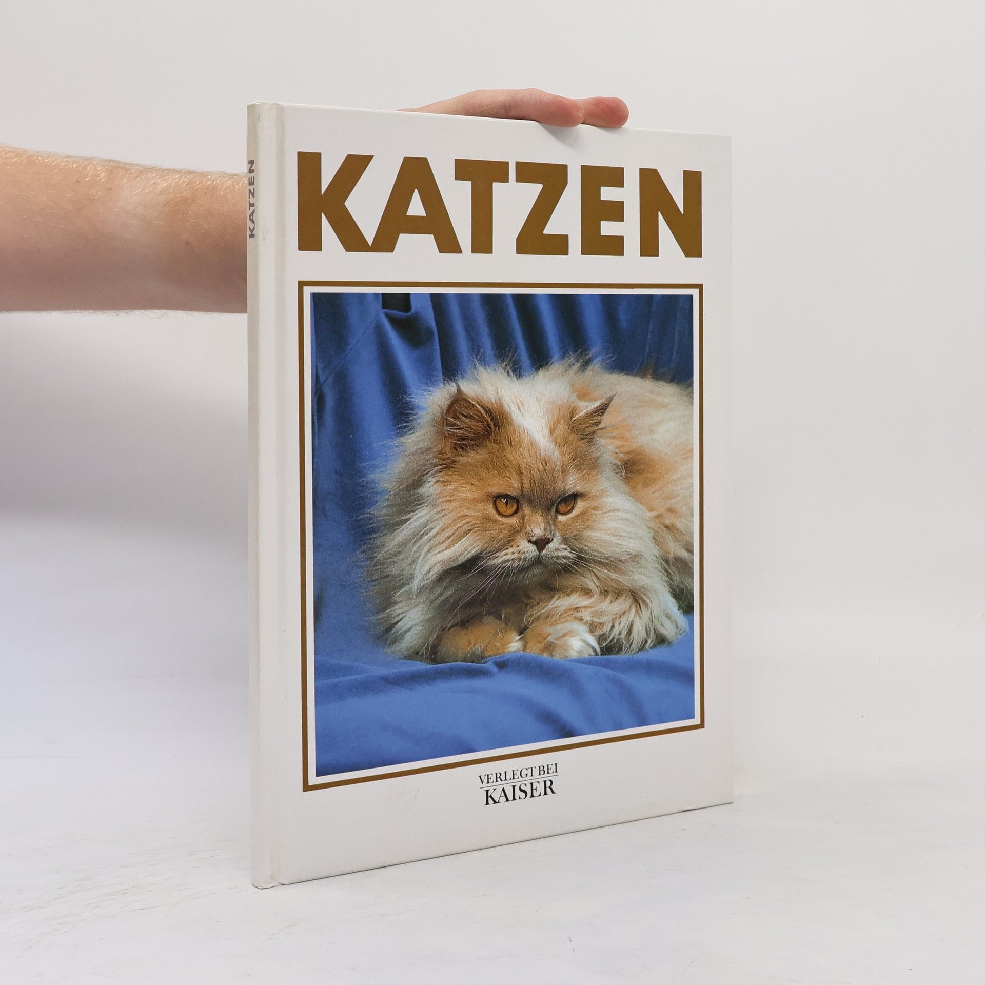 Auteurscollectief Katzen