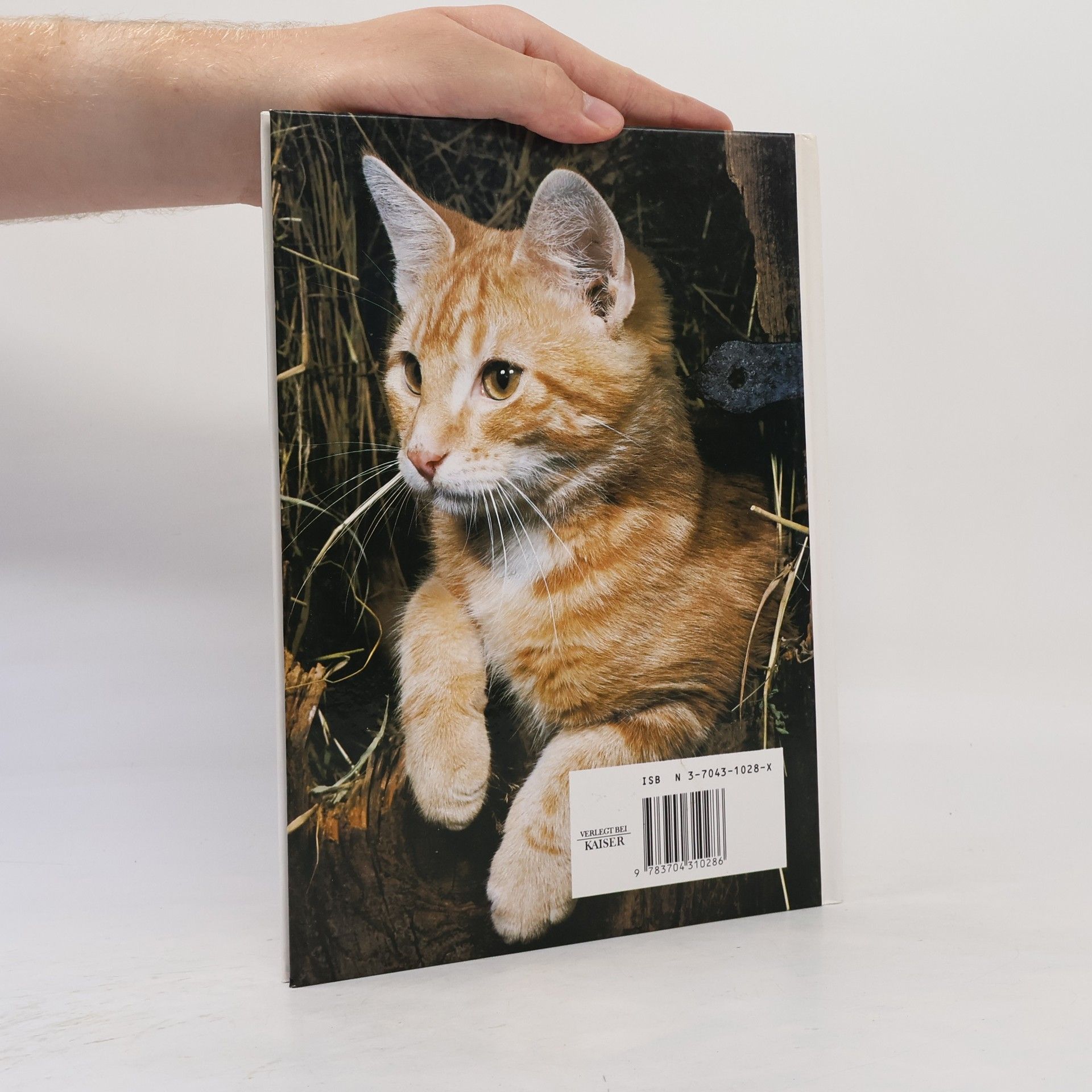 Kolektiv autorů Katzen