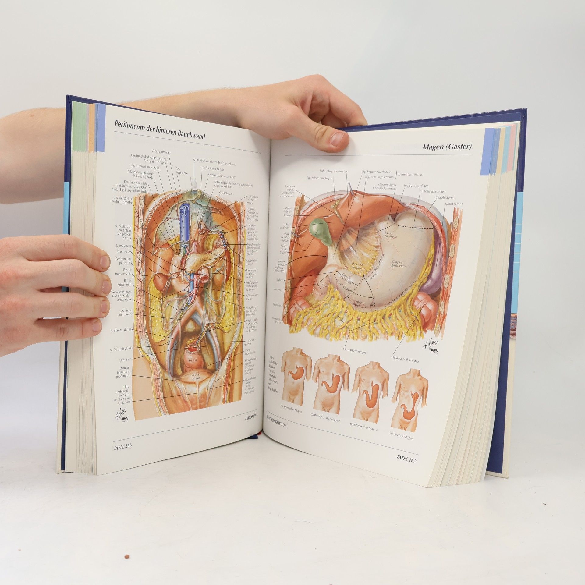 Frank H. Netter Atlas der Anatomie des Menschen
