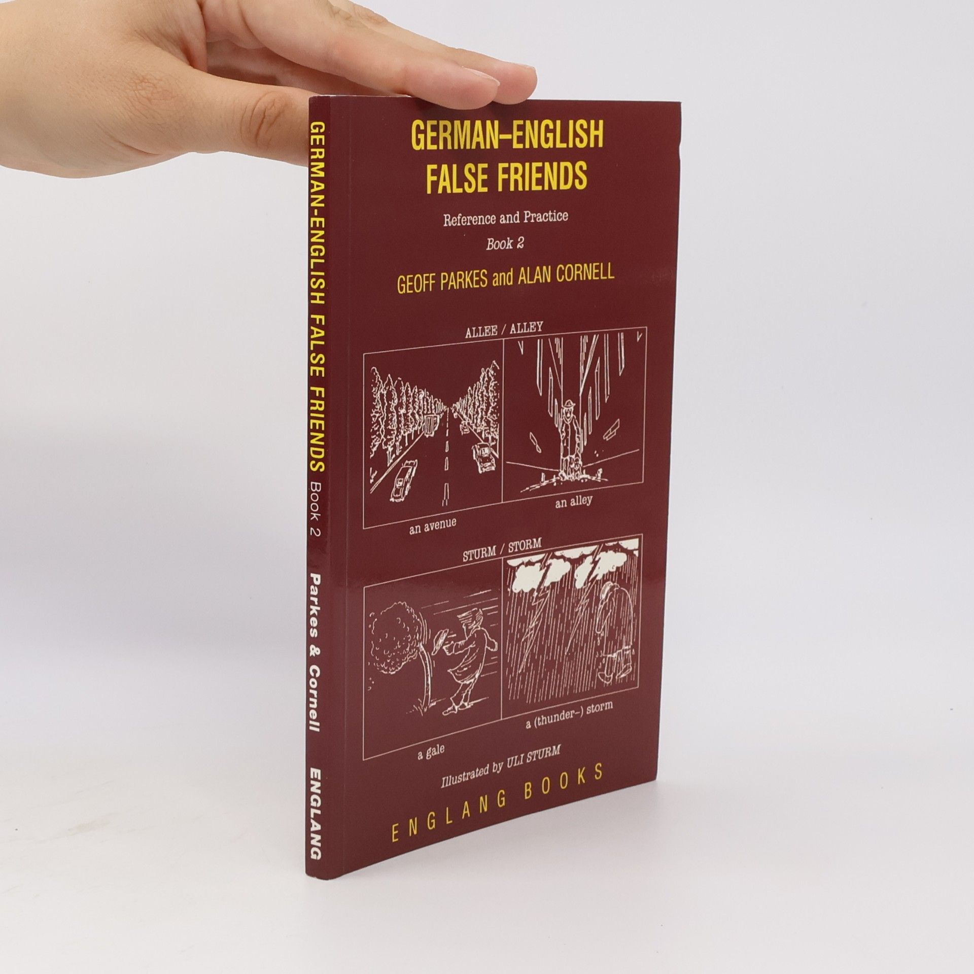 Uli Sturm German-English False Friends