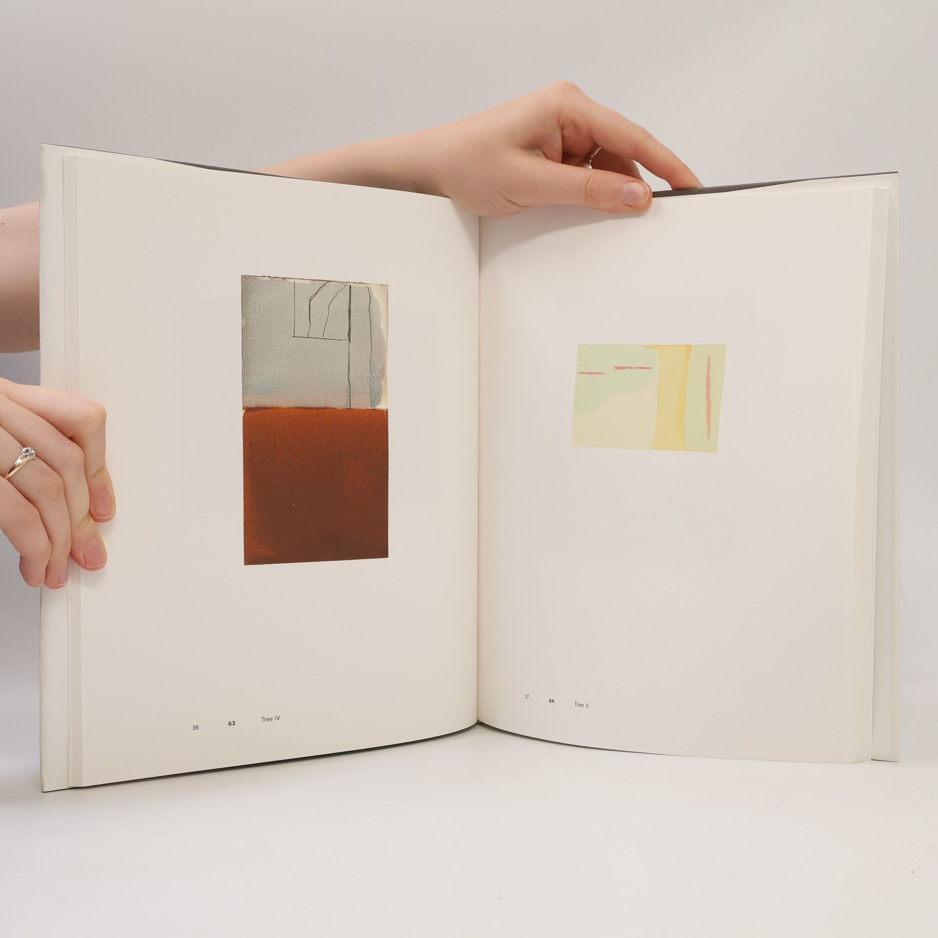 James Bishop Malerei auf Papier / Paintings on Paper