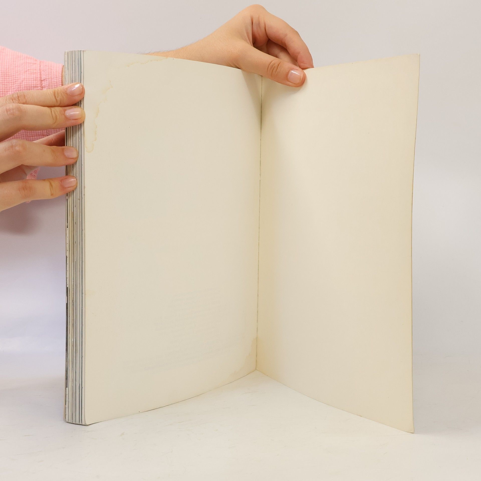 Otto Waalkes Das zweite Buch Otto
