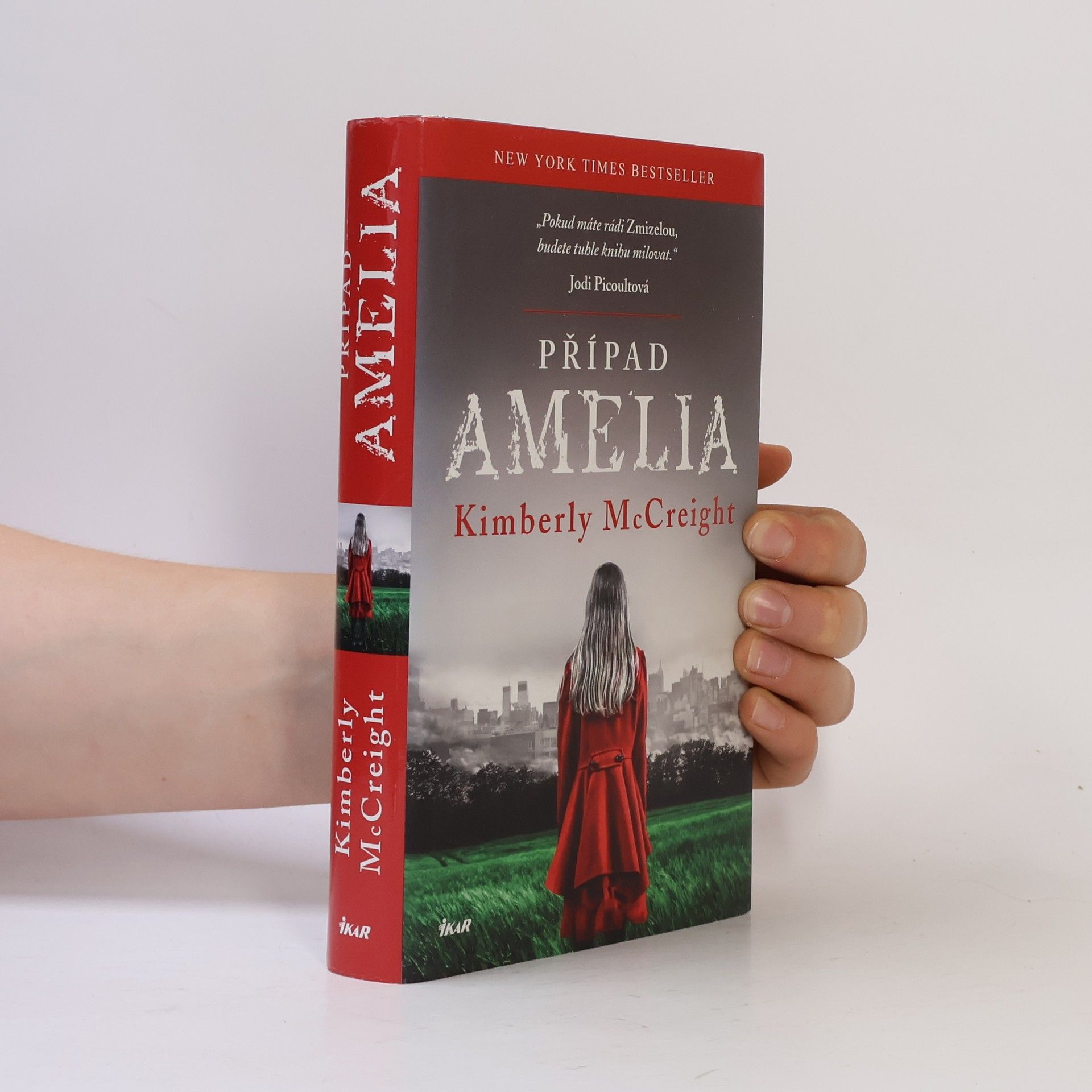Kimberly McCreight Případ Amelia