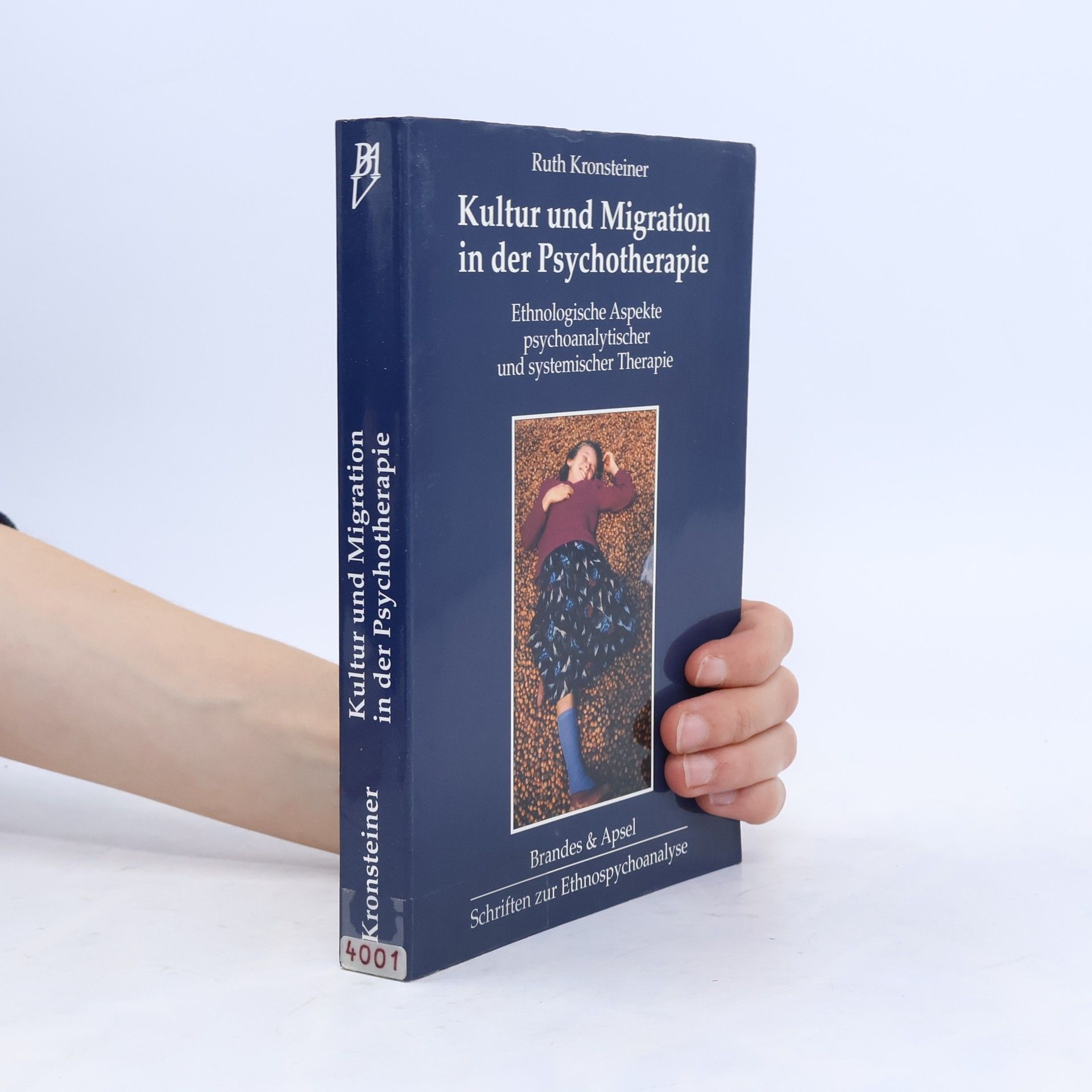 Ruth Kronsteiner Kultur und Migration in der Psychotherapie