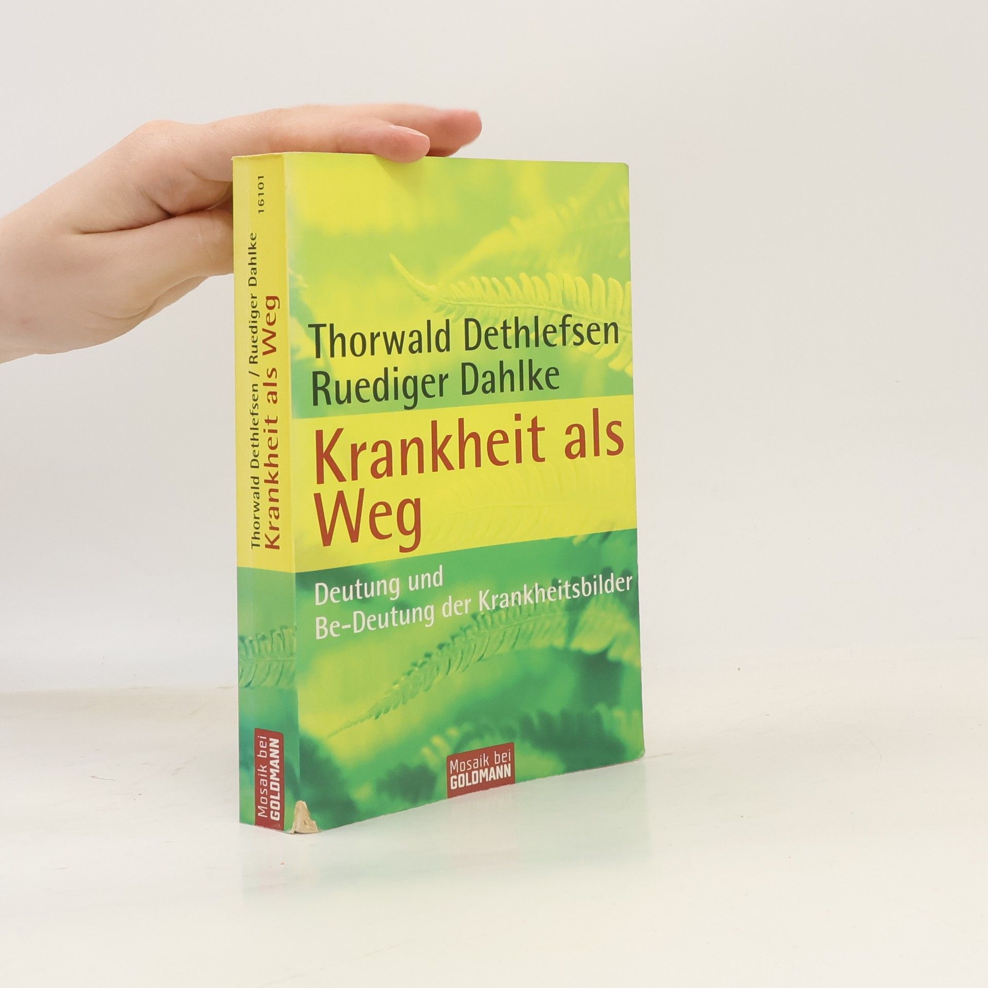 Thorwald Dethlefsen Krankheit als Weg