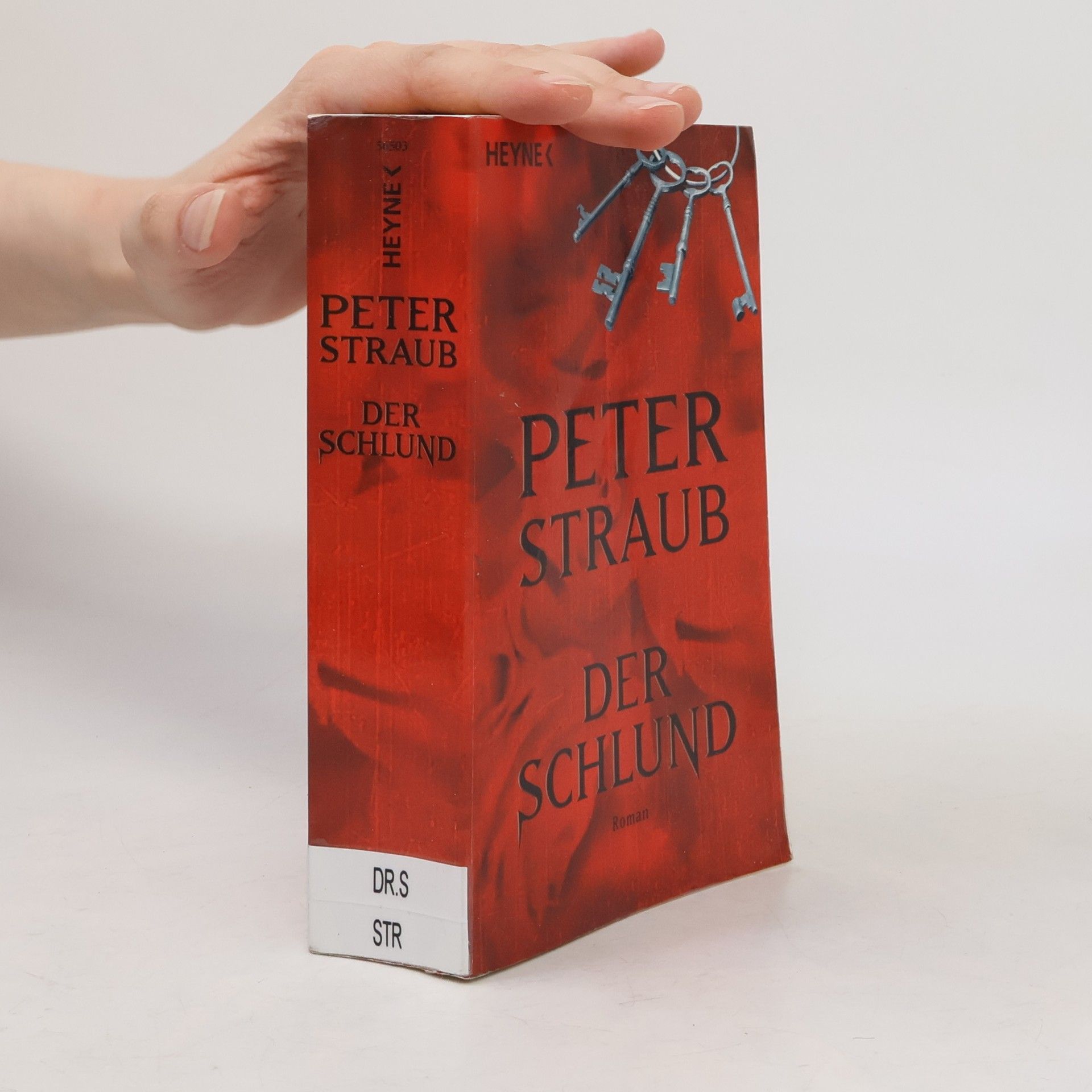 Peter Straub Der Schlund. Roman